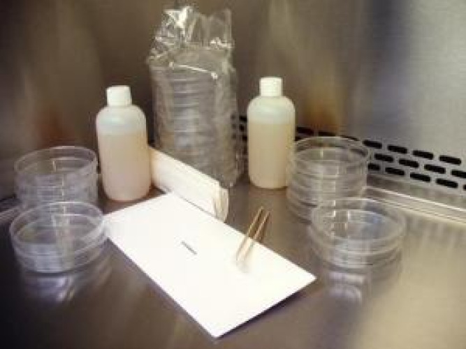 Ward's Science - 6731005 Student Lab Activity TSA Microbiology Bacteria For Educational Purposes Only