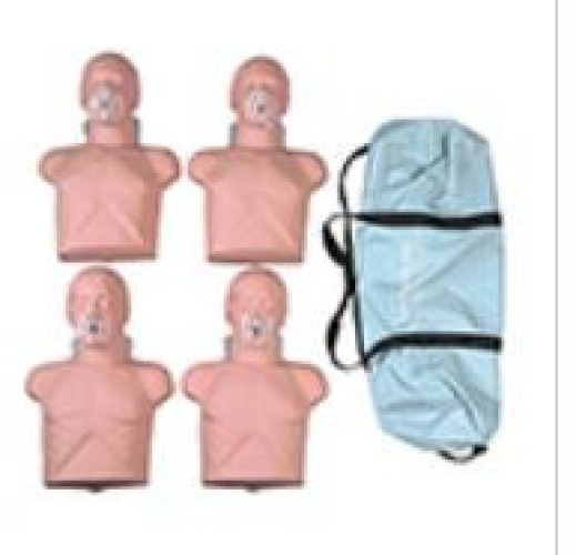 Nasco Healthcare - 100-2135 Face Shield Lung System Simulaids® For Economy Adult Sani - Manikin