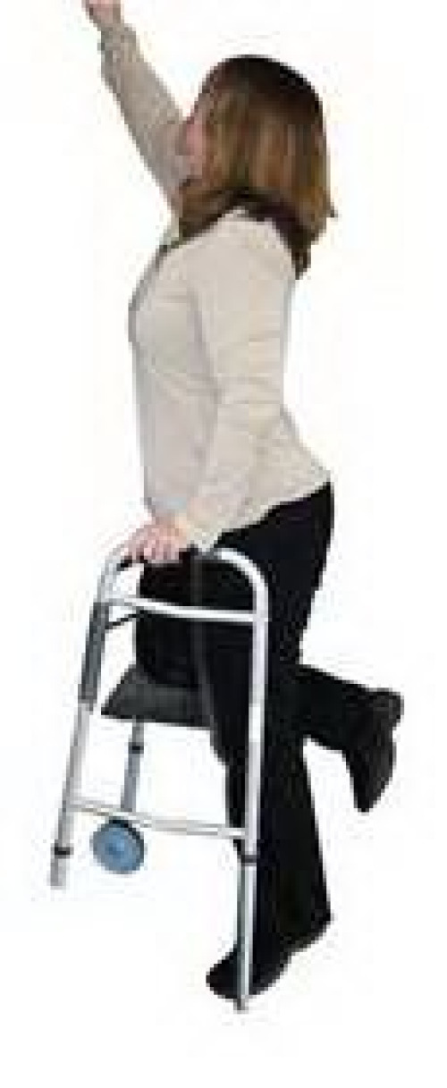 Alimed - 2970008977 SafetySure® Knee Sling For Walker