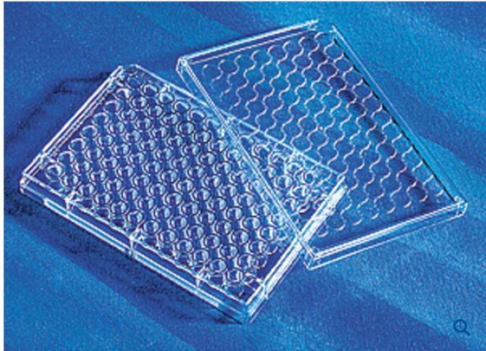 PANTek Technologies LLC - 3596 96-Well Microplate Costar™ Clear Sterile