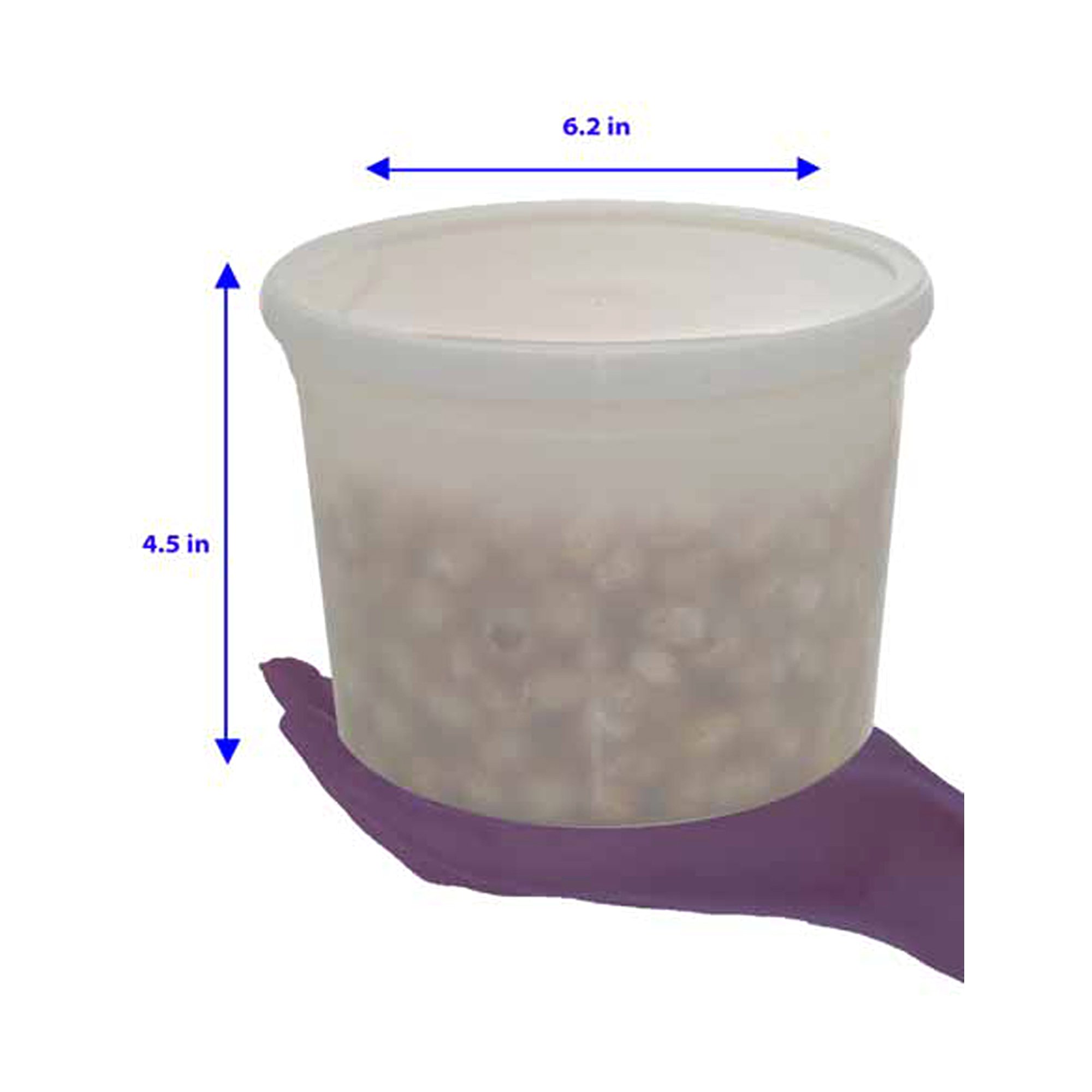 OakRidge Products 0464-1100 - OakRidge Lab Storage Container, 1,892 mL - 50/Case