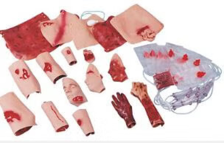Nasco Healthcare - 800-6701 B Trauma Moulage Kit