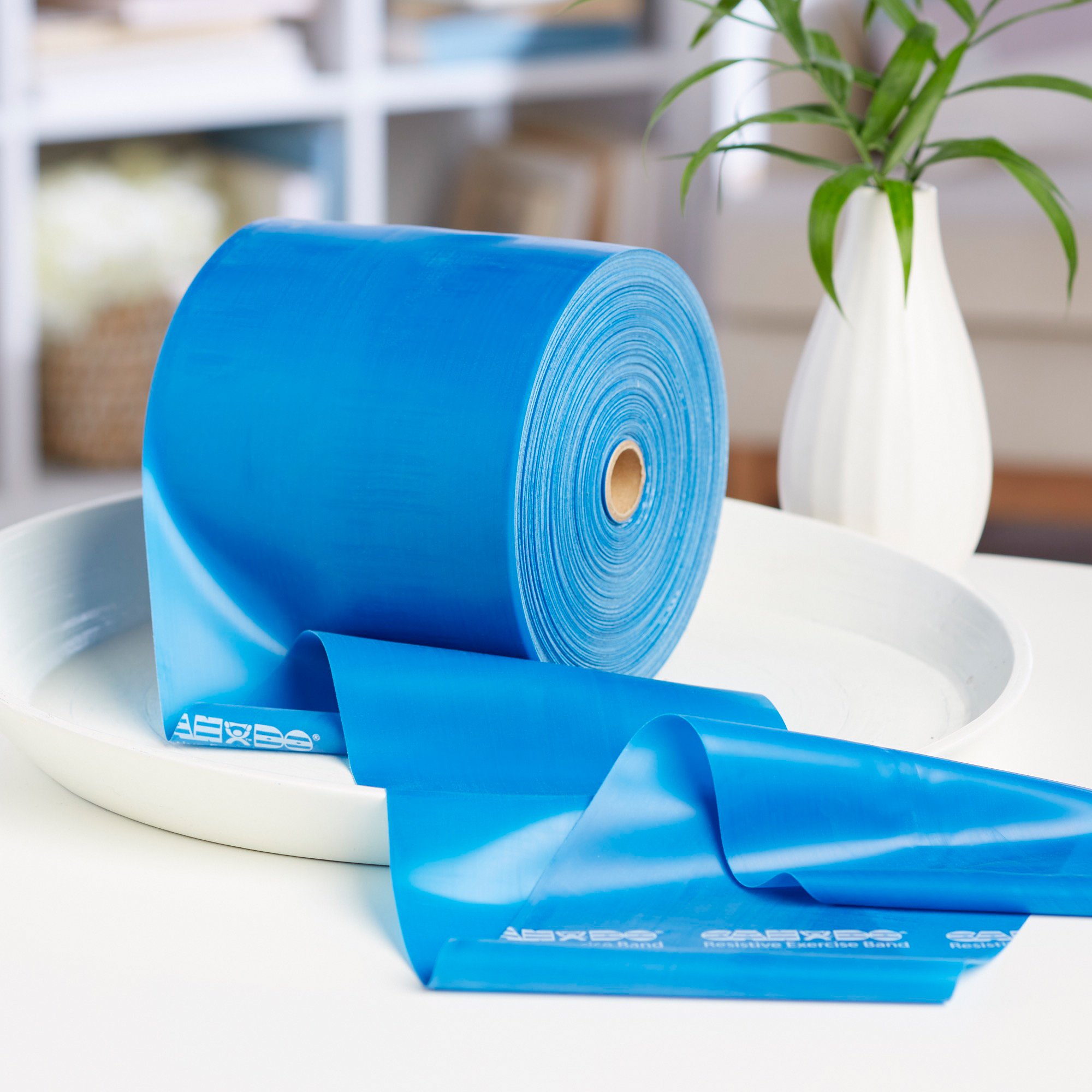 McKesson Brand 169-5224 - McKesson Exercise Resistance Band, Blue, 5 Inch x 50 Yard, Heavy Resistance - 1/Each