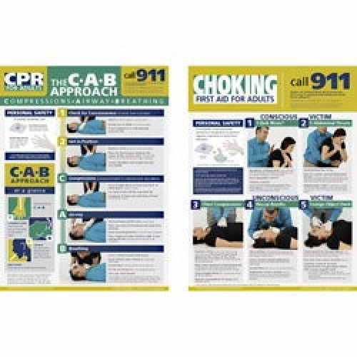Nasco Healthcare - SB50105 First Aid Posters Learning ZoneXpress The CPR Approach