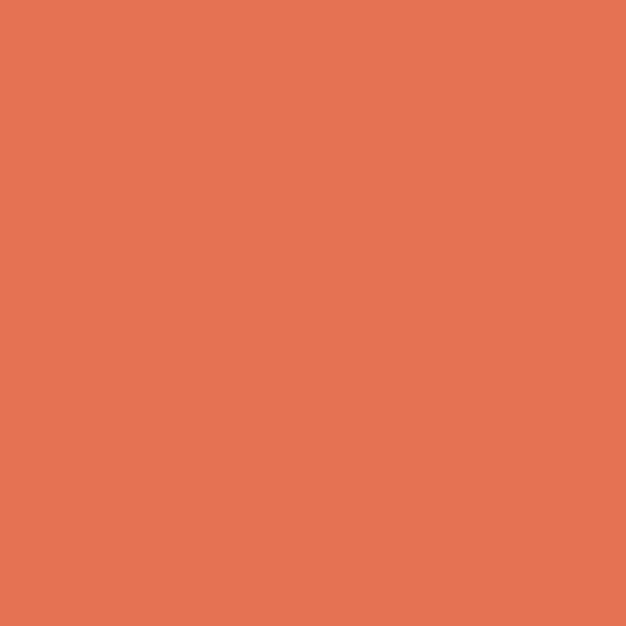McKesson Brand 641NOMM - McKesson Sprague-Rappaport Stethoscope, 22 Inch, Orange - 1/Each, 20/Case