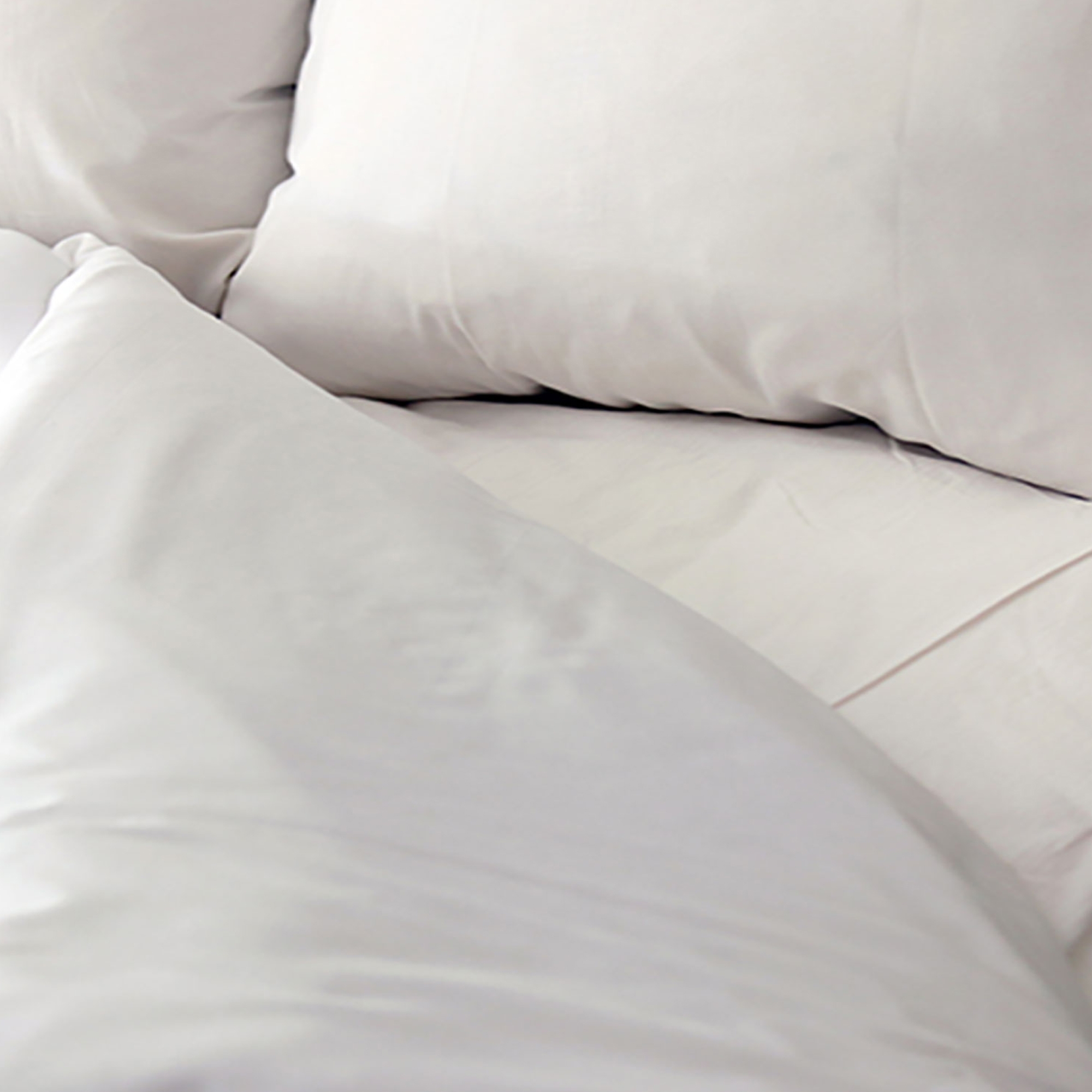 Royal Blue Intl - 103394 T130 Basic Plus Fitted Bed Sheet