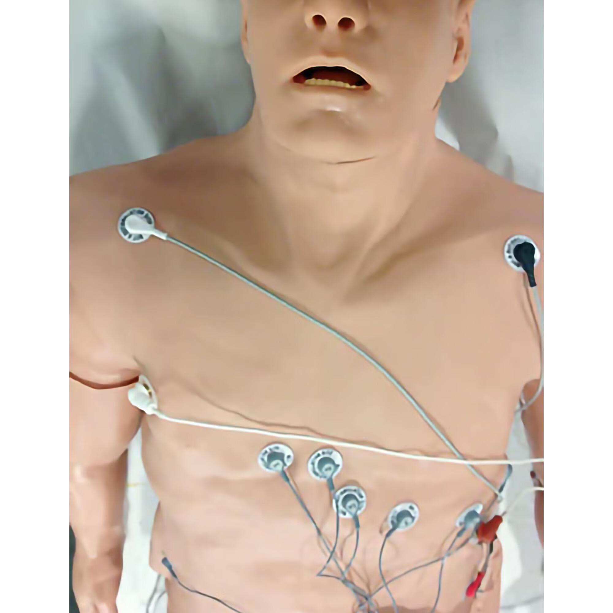 Nasco Healthcare - 101-12-001L Arrhythmia Simulator Physio 12-Lead For Use With A Medium or Large Sized Manikin or Simulator