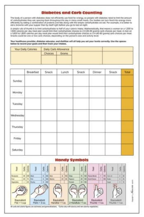 Nasco Healthcare - WA26787 Carb Counting Food Replica Kit