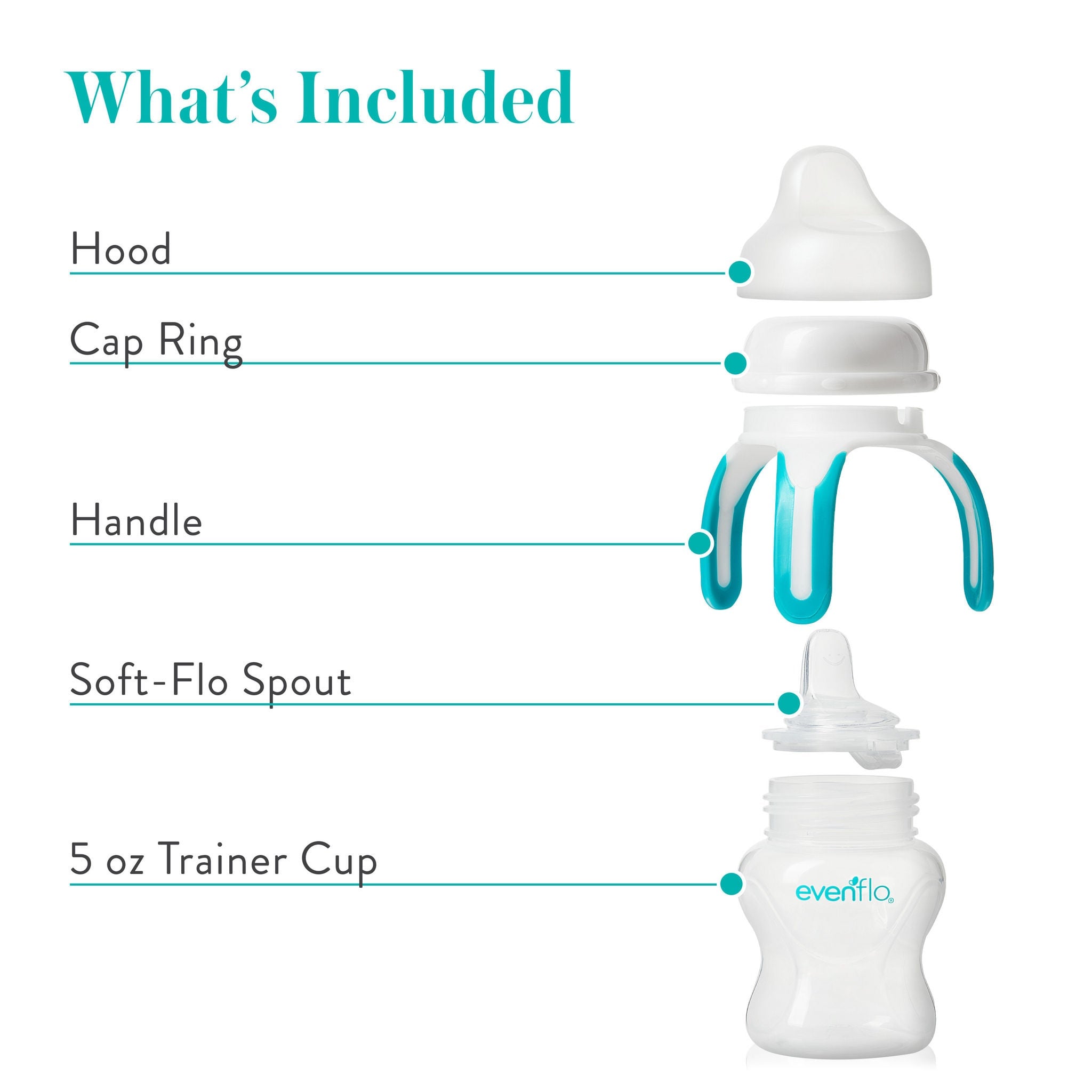 Midway Importing Inc - 4101112 Trainer Cup Evenflo Soft-flo 5 oz. Plastic / Silicone Clear / Teal Reusable