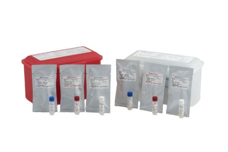 Microbiologics Inc - 8180 Molecular Diagnostic Control Panel Helix Elite™ Gram-Positive Blood Culture Positive Level