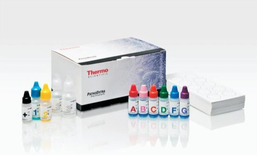 Fisher Anatomical - DR0700M Other Infectious Disease Test Kit Remel™ PathoDxtra™ Streptococci Groups A, B, C, D, F and G Identification 60 Tests CLIA Non-Waived