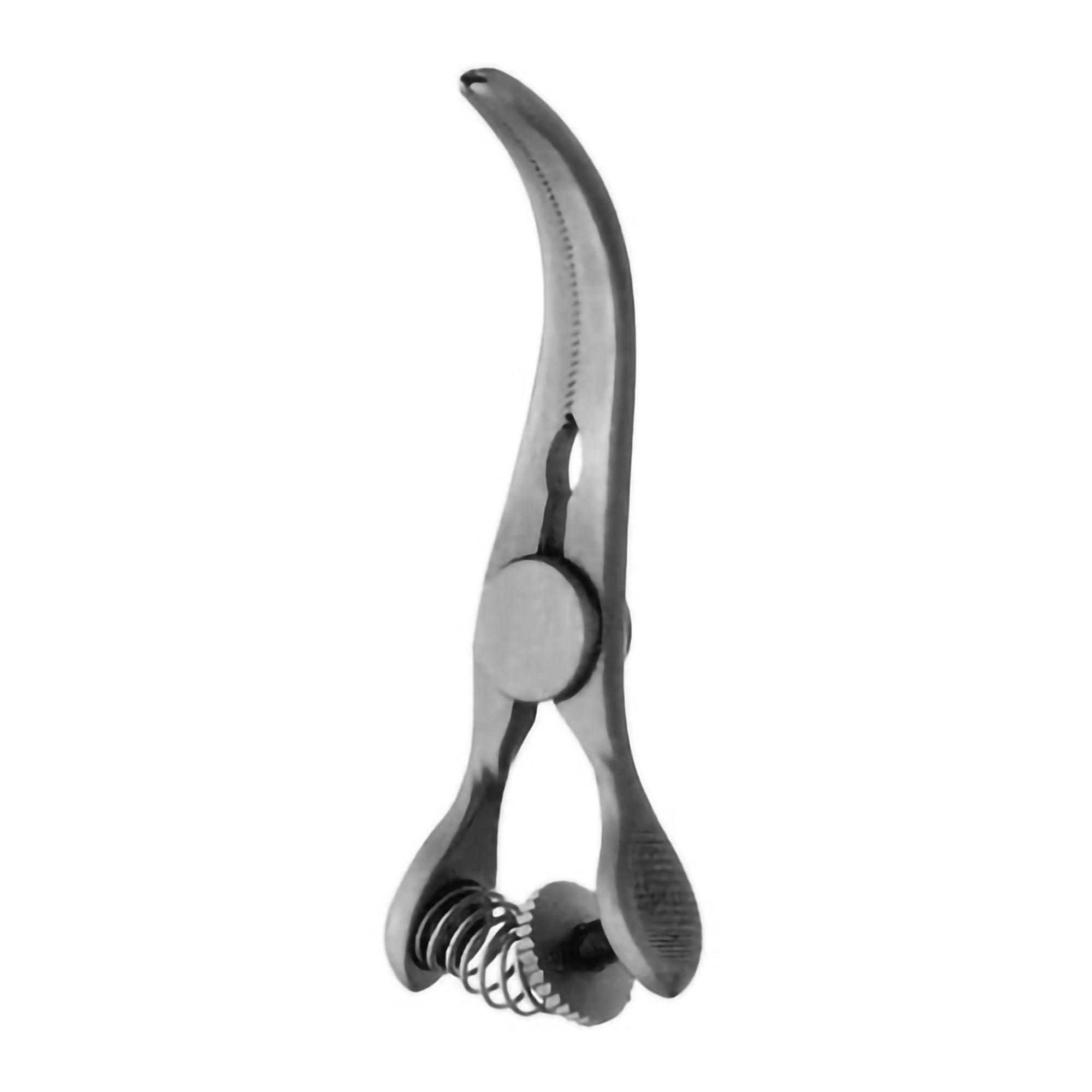 V. Mueller - CH6036 Bulldog Clamp V. Mueller® Cooley 2-1/2 Inch Length Stainless Steel