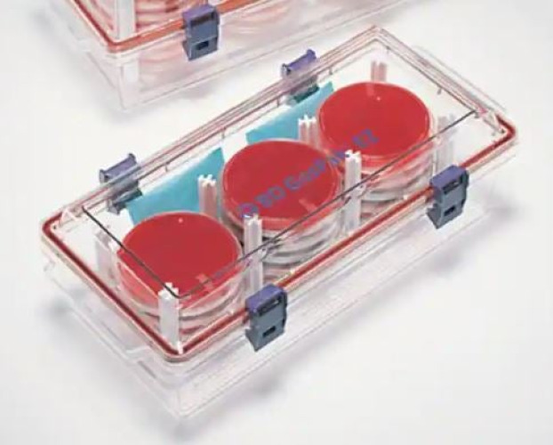 BD - 260672 GasPak™ EZ Incubation Container 30 to 33 Petri Dish Capacity, Easy Close Latch