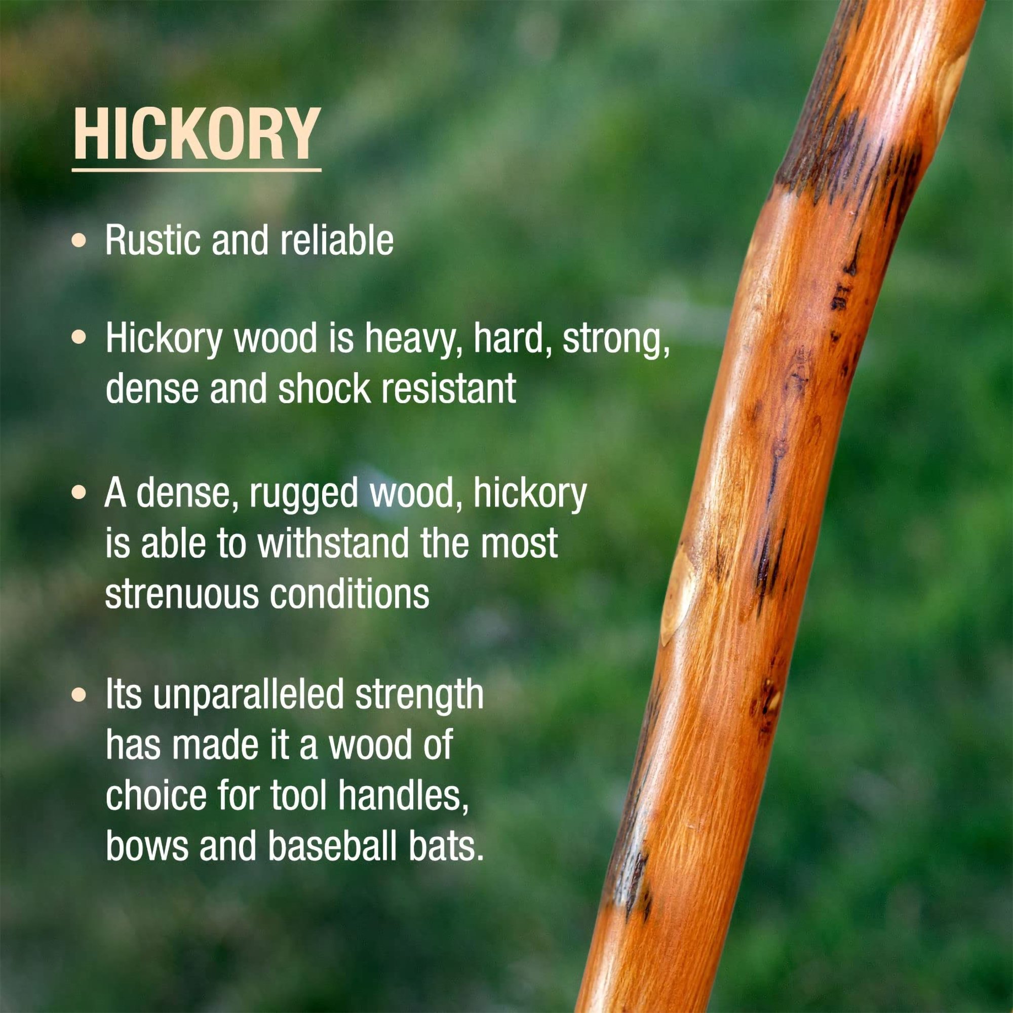Mabis Healthcare 602-3000-1202 - Brazos™ Free Form Safari Walking Stick, 55-Inch Height - 1/Each
