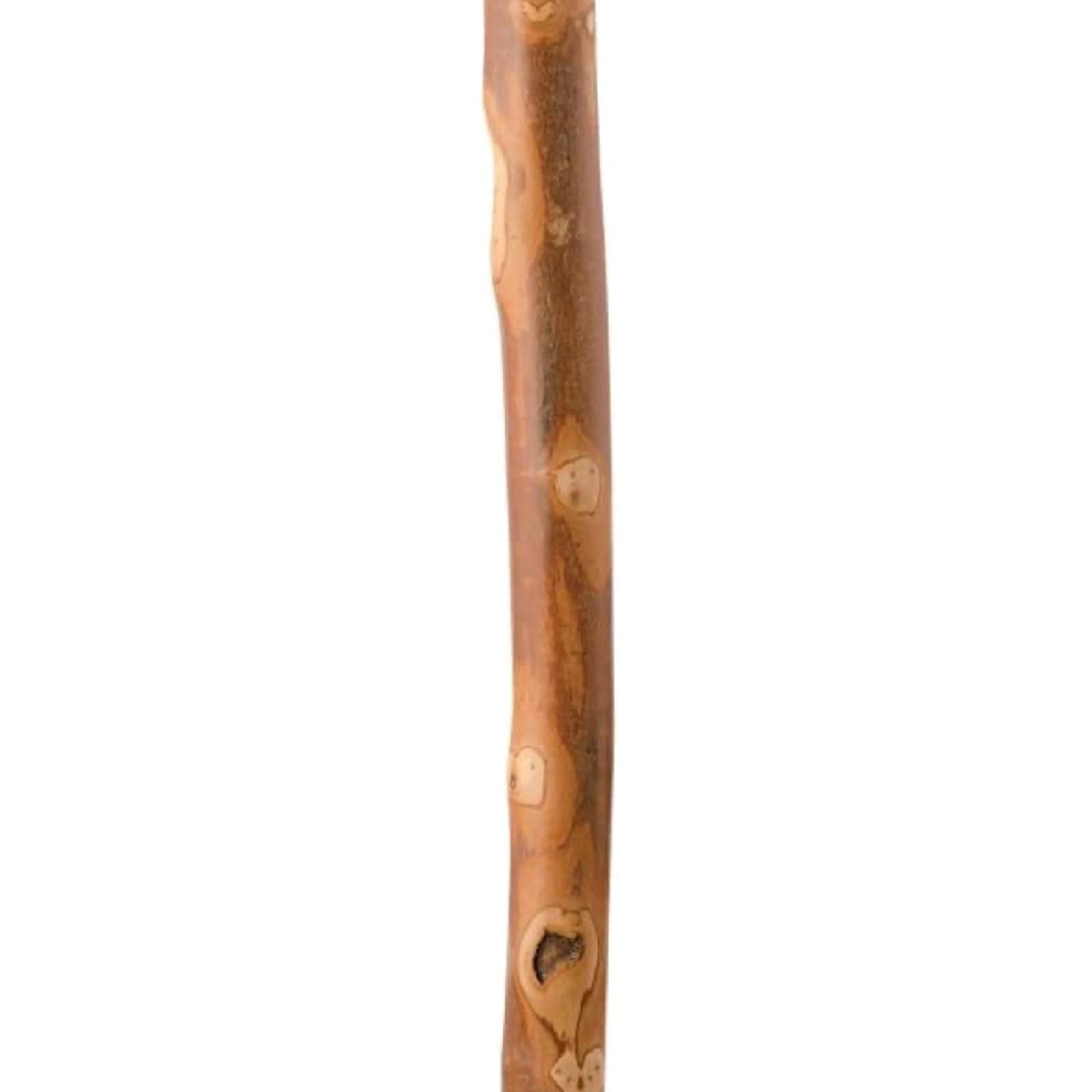 Mabis Healthcare 602-3000-1397 - Brazos™ Walking Stick with Compass, 55-Inch Height - 1/Each