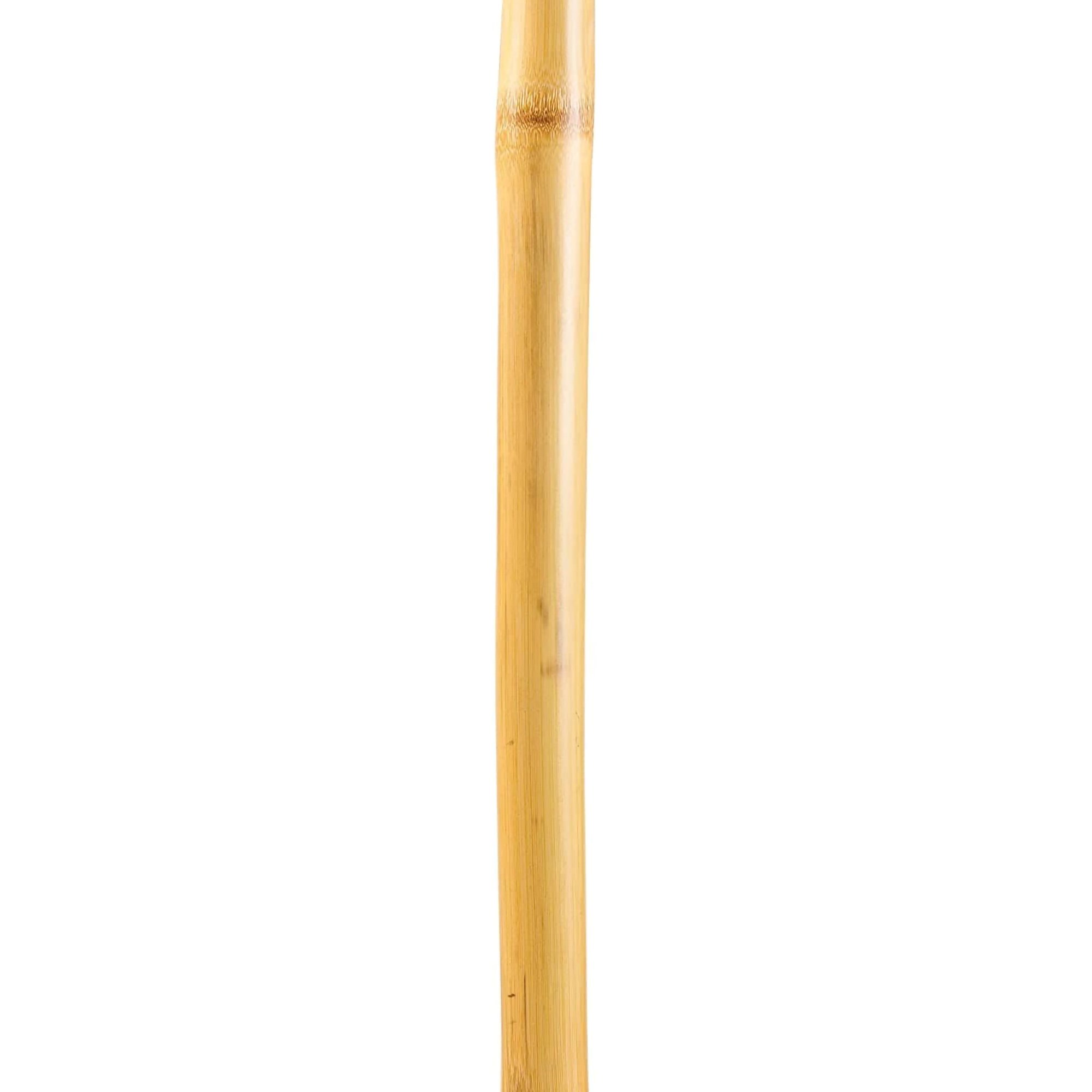 Mabis Healthcare 602-3000-1154 - Brazos™ Iron Bamboo Rustic Walking Stick, 58 Inch Height - 1/Each