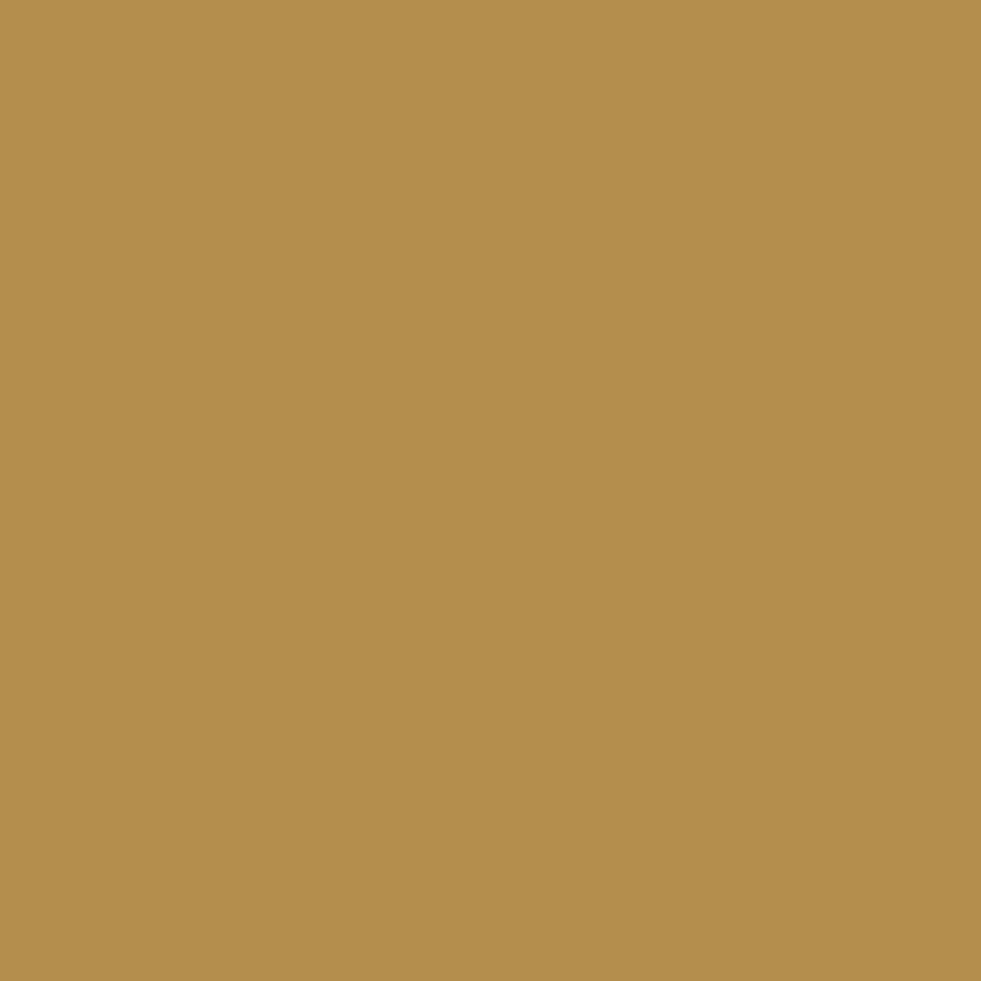 Mabis Healthcare - 602-3000-1326 Brazos™ Traveler's Oak Walking Stick