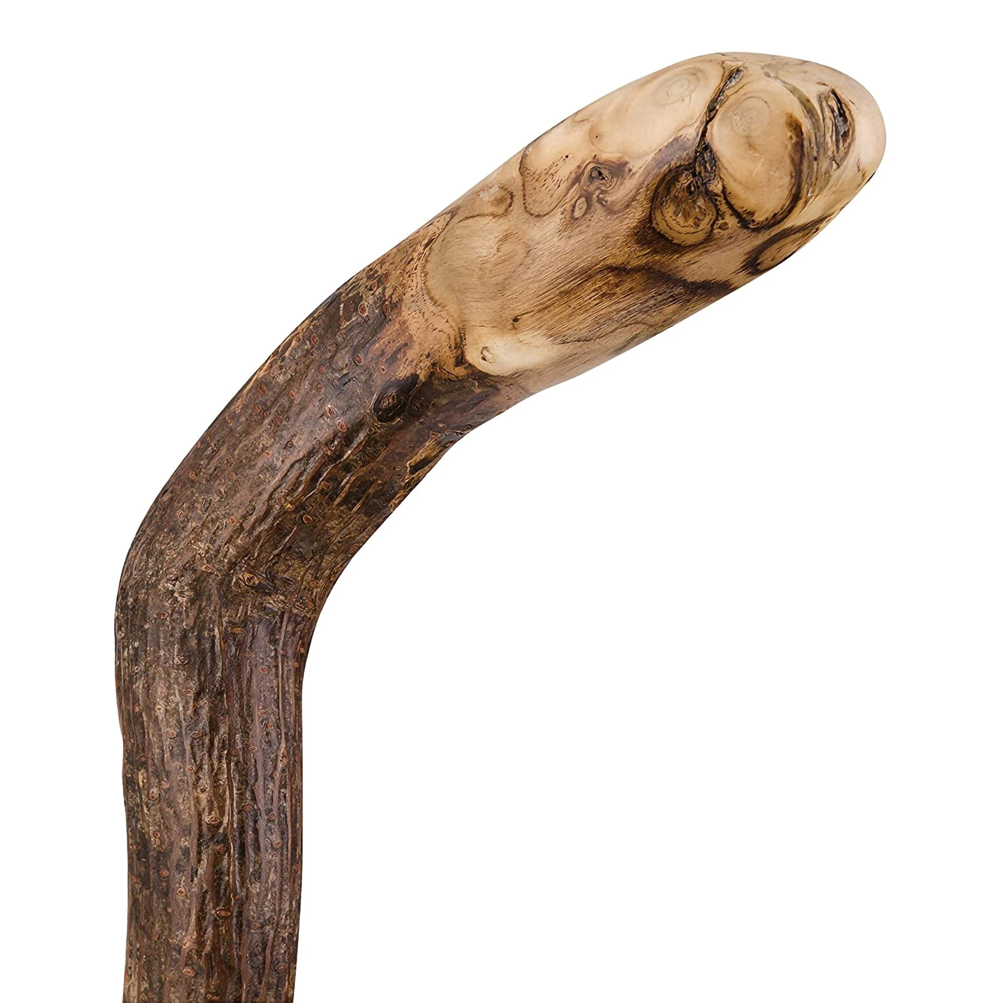 Mabis Healthcare 502-3000-0127 - Brazos™ Assorted Hardwood Knob Root Rustic Walking Cane, 37-Inch Height - 1/Each