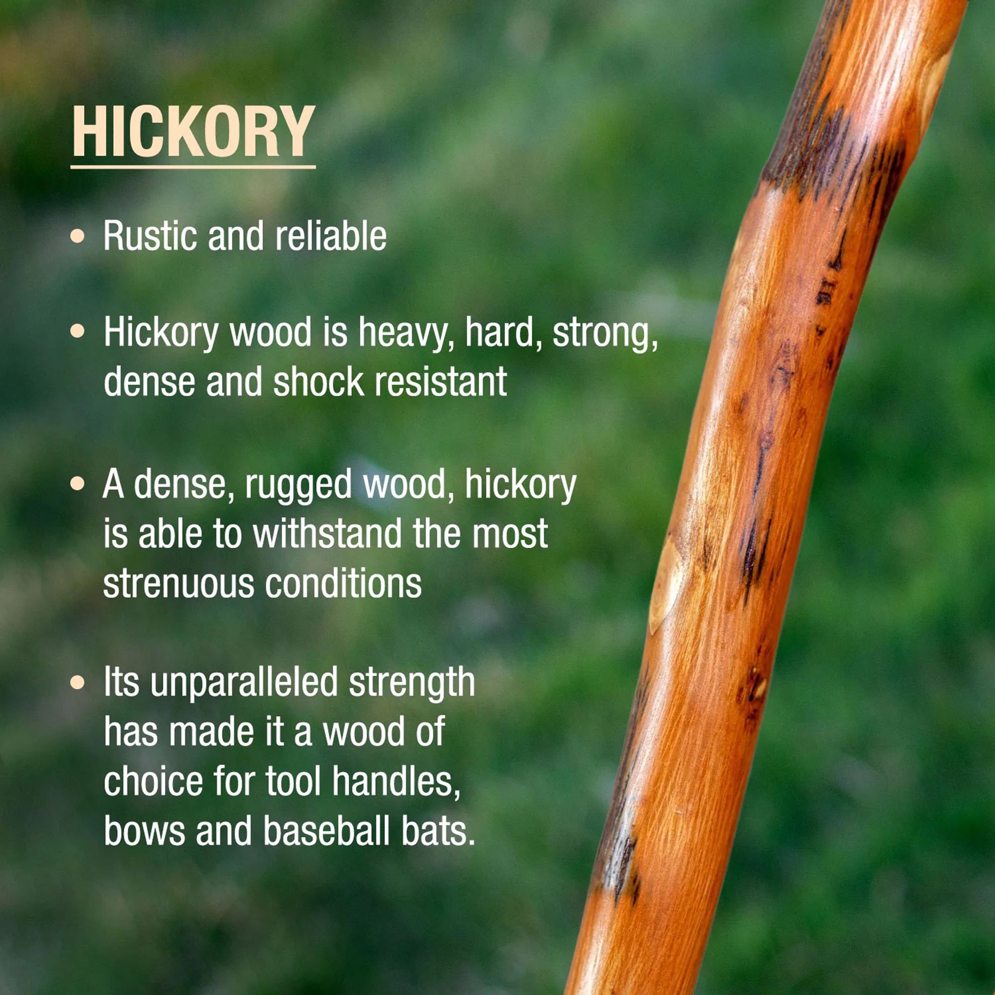 Mabis Healthcare 602-3000-1170 - Brazos™ Exotic Leather Safari Hickory Rustic Walking Stick, 55-Inch - 1/Each