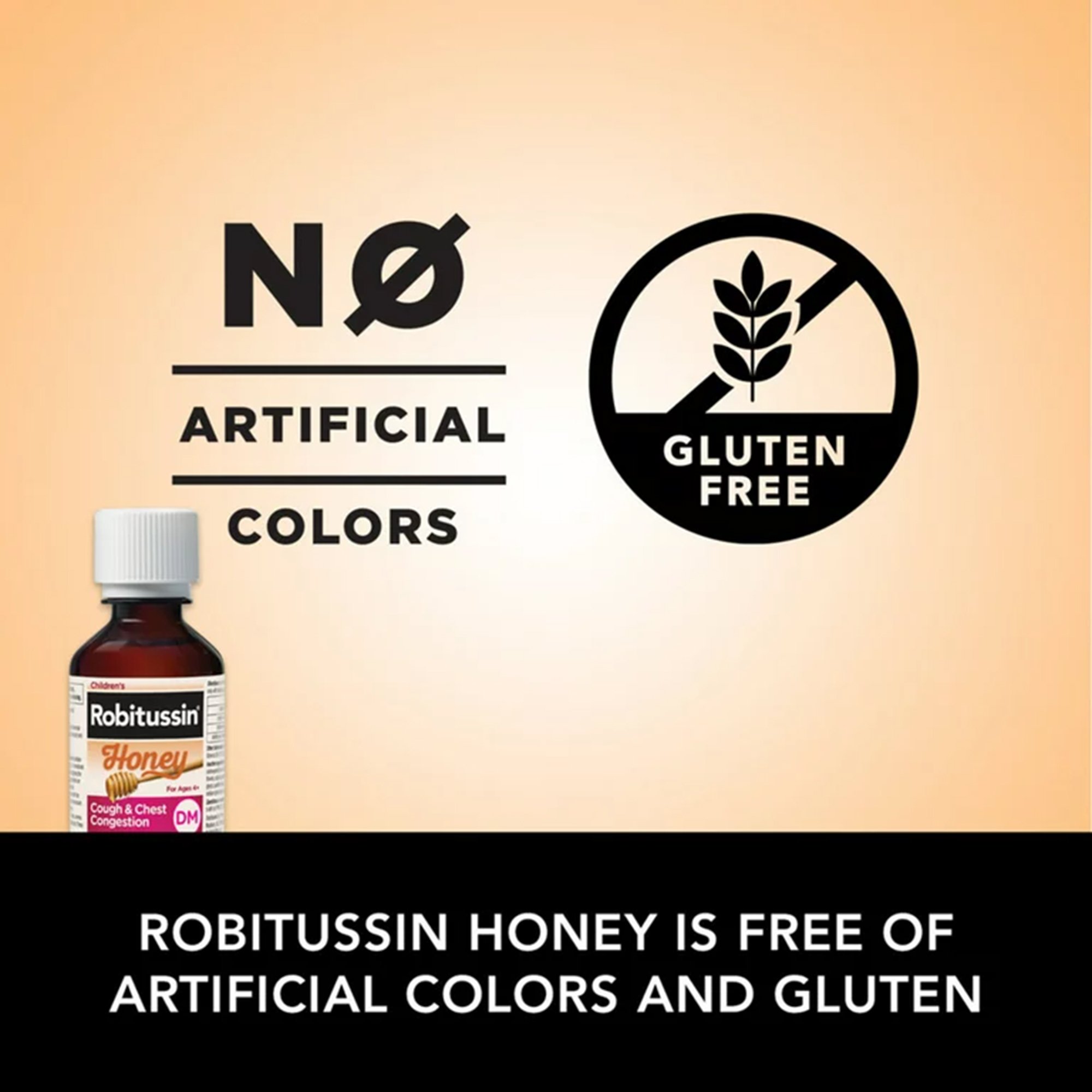 Glaxo Consumer Products 00031876012 - Robitussin Children's Honey Cough & Chest Congestion DM Liquid, 4-ounce bottle - 1/Each