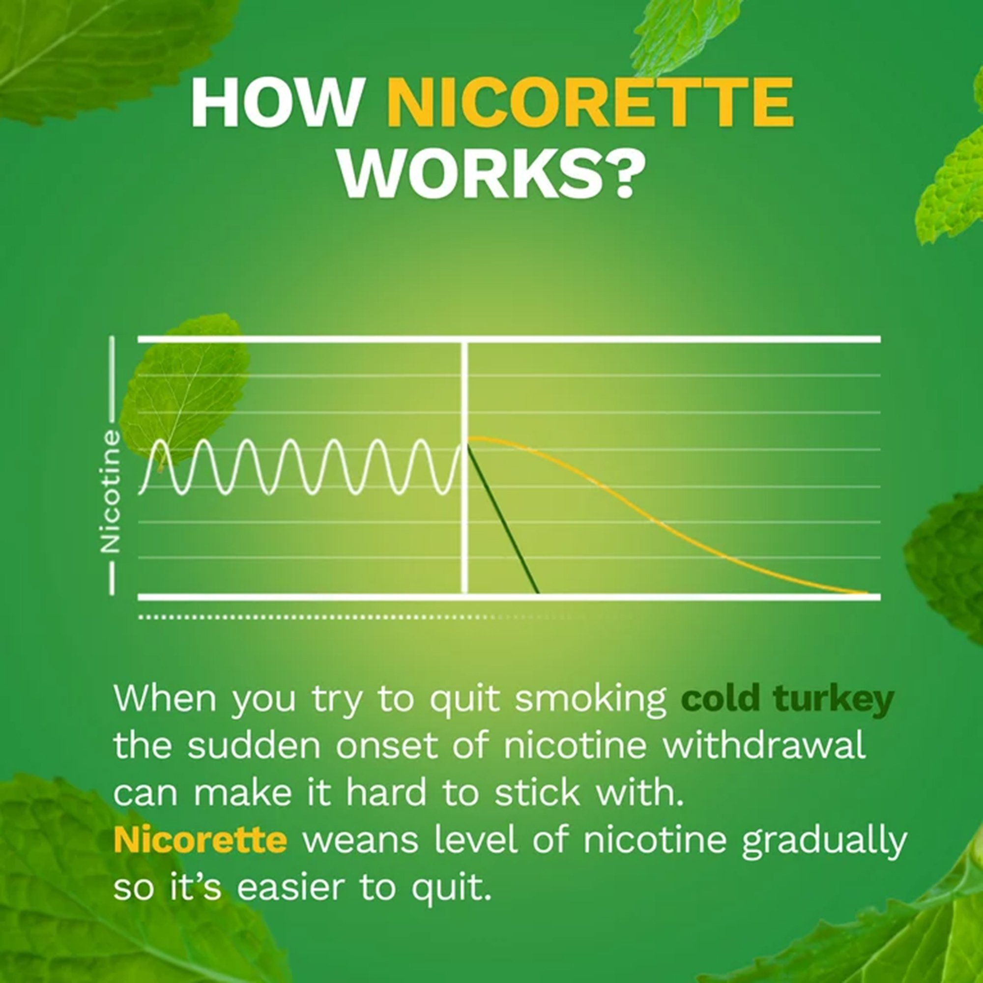 Glaxo Consumer Products 00135053302 - Nicorette Stop Smoking Aid Gum 4 mg Spearmint Burst with a Hint of Chamomile - 100/Carton