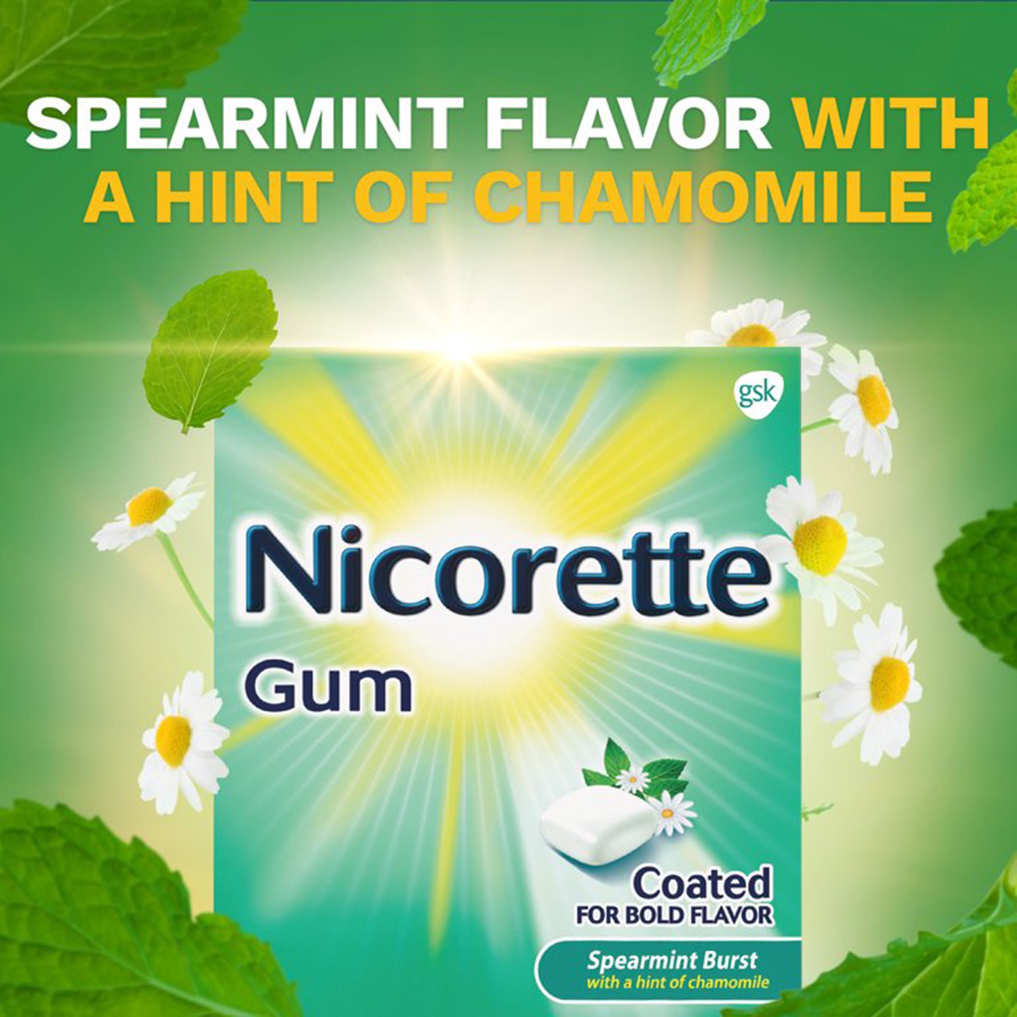 Glaxo Consumer Products 00135053302 - Nicorette Stop Smoking Aid Gum 4 mg Spearmint Burst with a Hint of Chamomile - 100/Carton