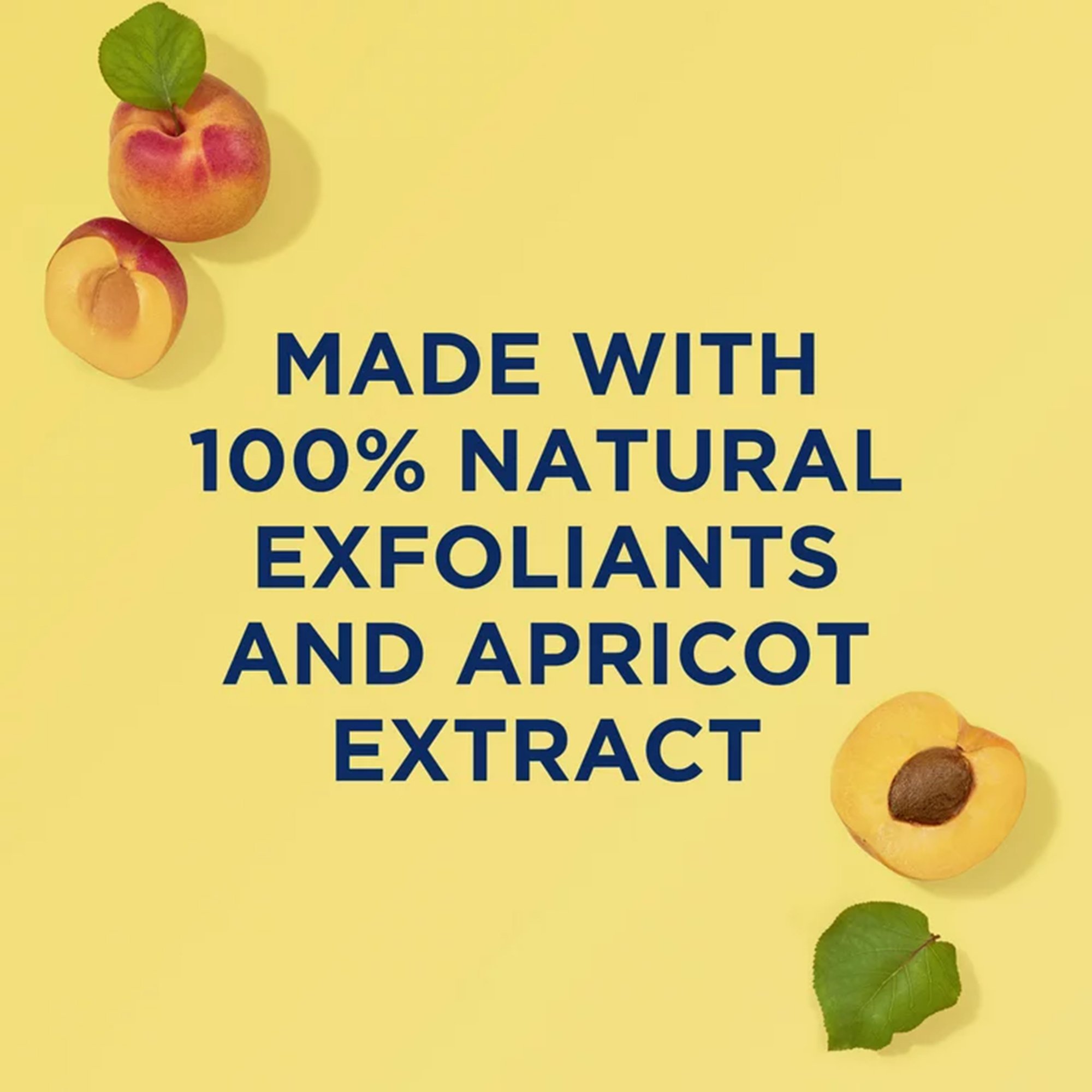 Dot Foods 07704310360 - St. Ives® Fresh Skin Exfoliant Apricot Scrub, 6-ounce Tube - 1/Each