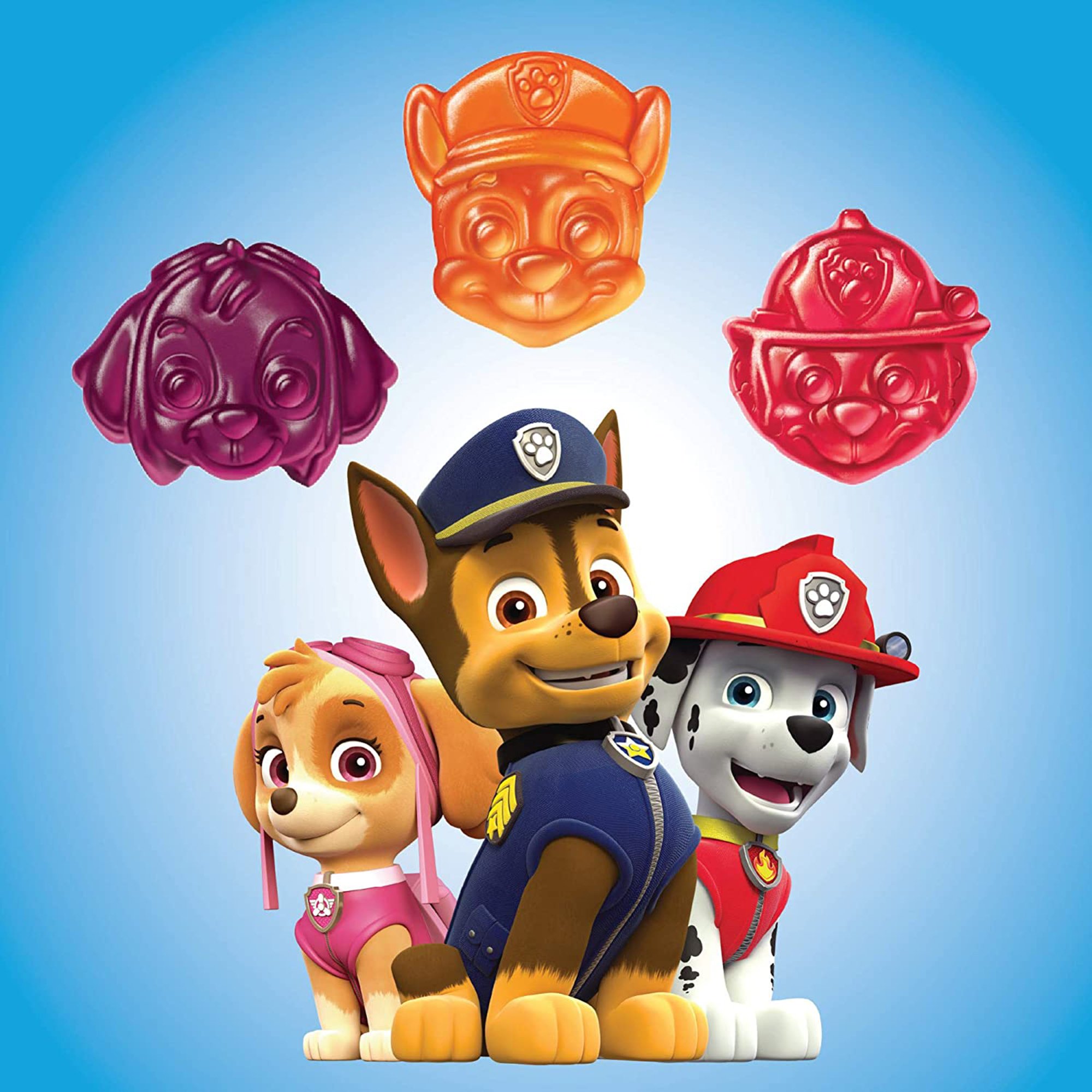 Church and Dwight 02791700917 - L'il Critters Paw Patrol Dietary Supplement Gummies - 1/Bottle