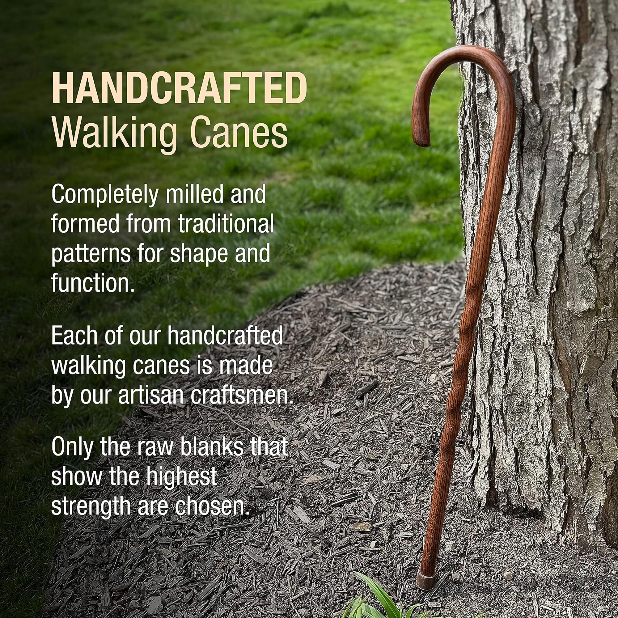 Mabis Healthcare 502-3000-0246 - Brazos™ Twisted Oak Traditional Handcrafted Walking Cane, 37-Inch - 1/Each