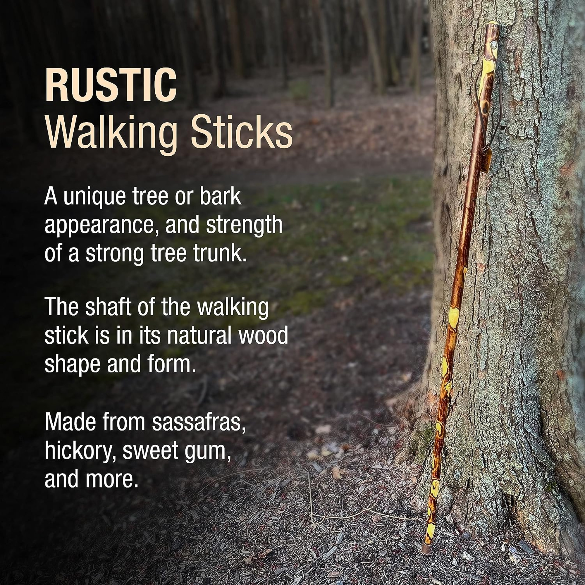 Mabis Healthcare 602-3000-1135 - Brazos™ Hawthorn Rustic Walking Stick, 48-Inch Height - 1/Each