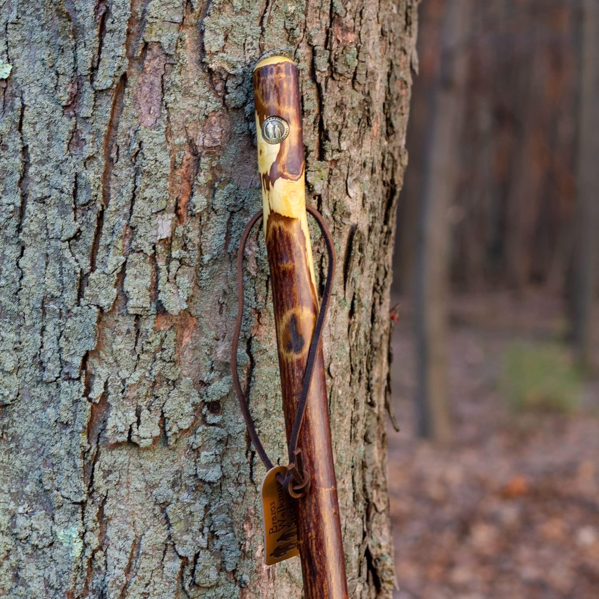 Mabis Healthcare 602-3000-1136 - Brazos™ Hawthorn Rustic Walking Stick, 55-Inch Height - 1/Each