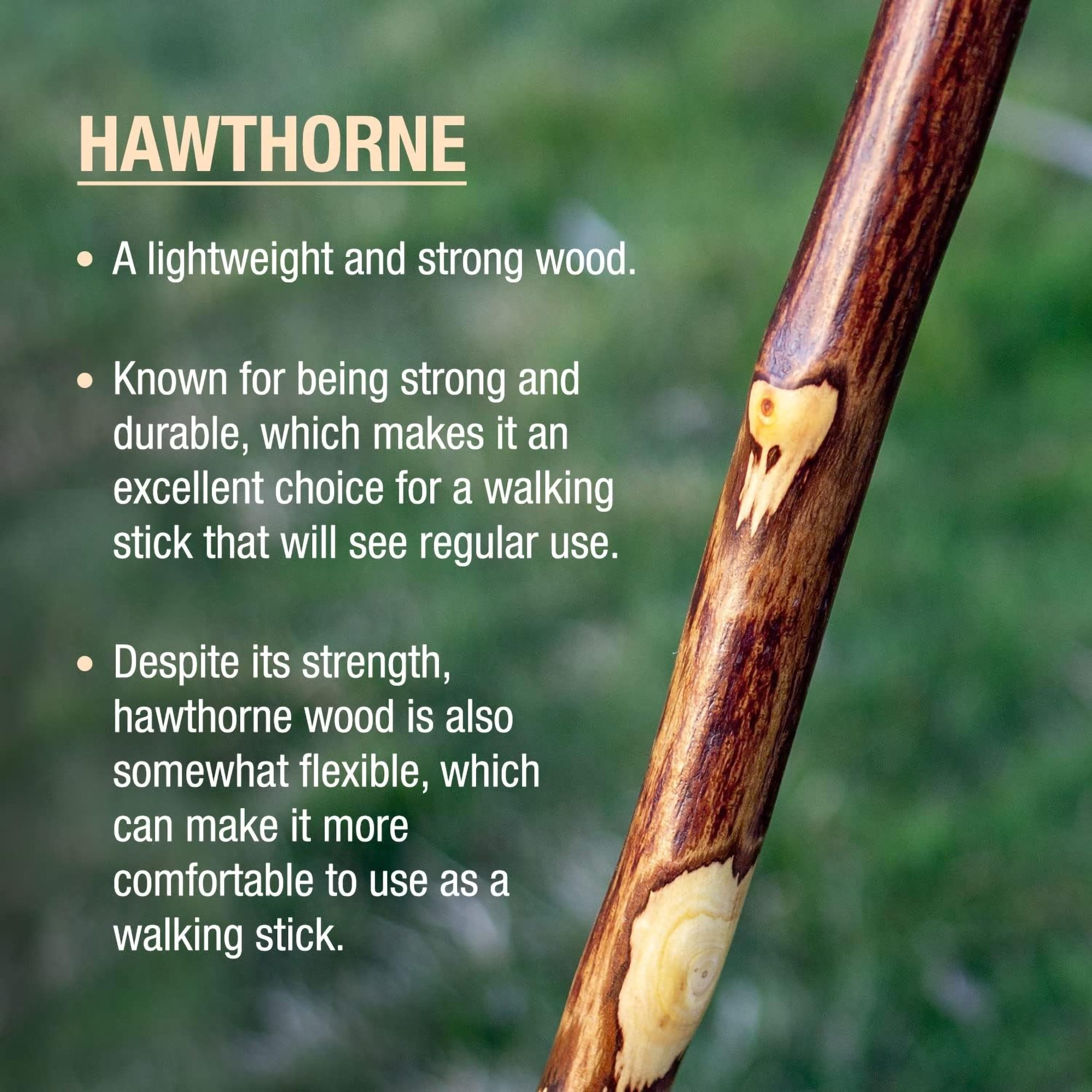 Mabis Healthcare 602-3000-1136 - Brazos™ Hawthorn Rustic Walking Stick, 55-Inch Height - 1/Each
