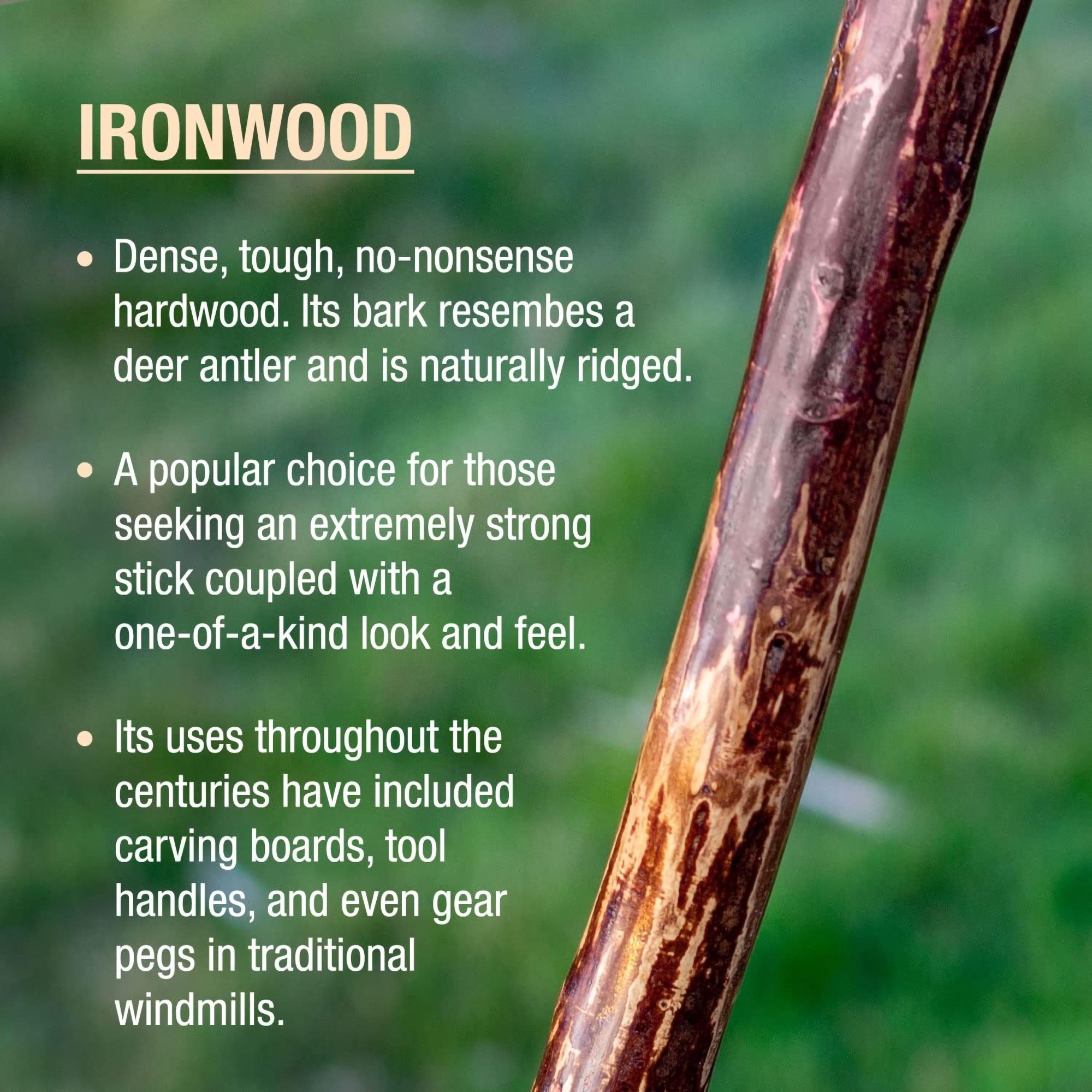 Mabis Healthcare 602-3000-1157 - Brazos™ Ironwood Rustic Walking Stick, 48-Inch Height - 1/Each