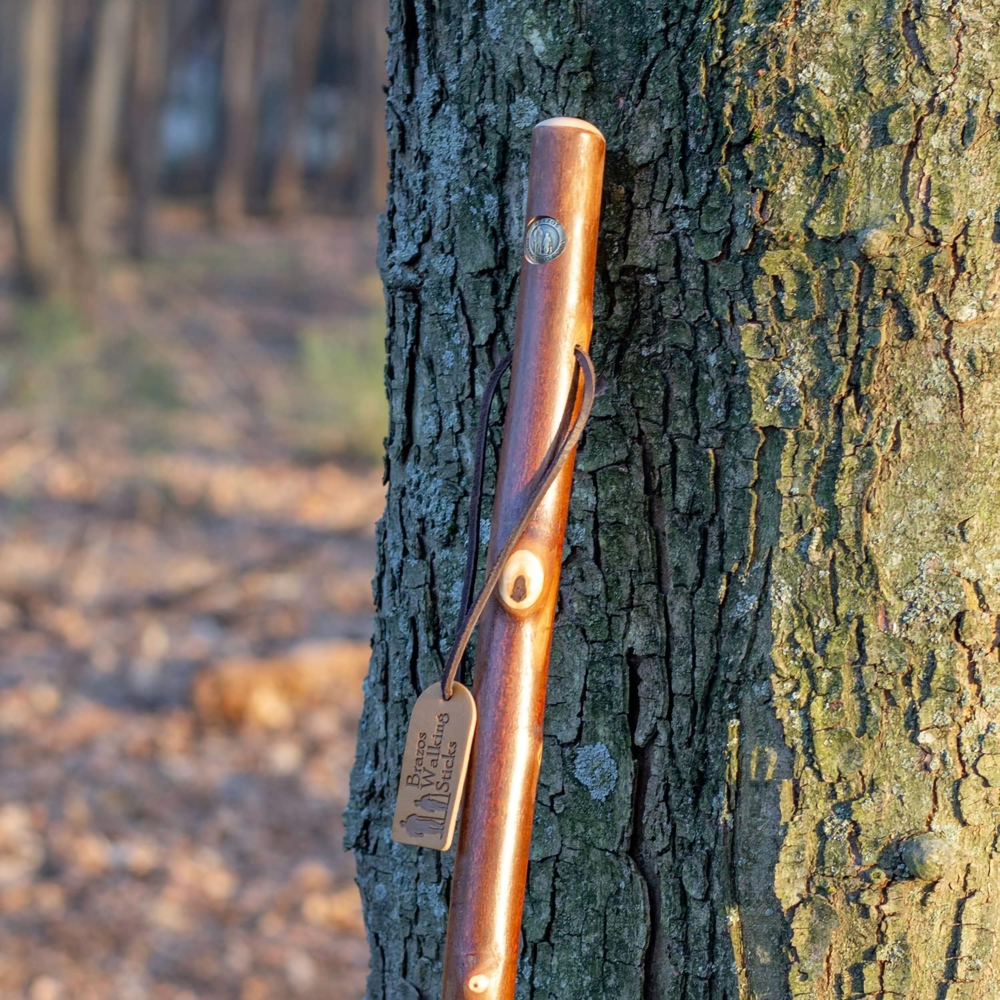 Mabis Healthcare 602-3000-1180 - Brazos™ Maple Rustic Walking Stick, 55-Inch Height - 1/Each