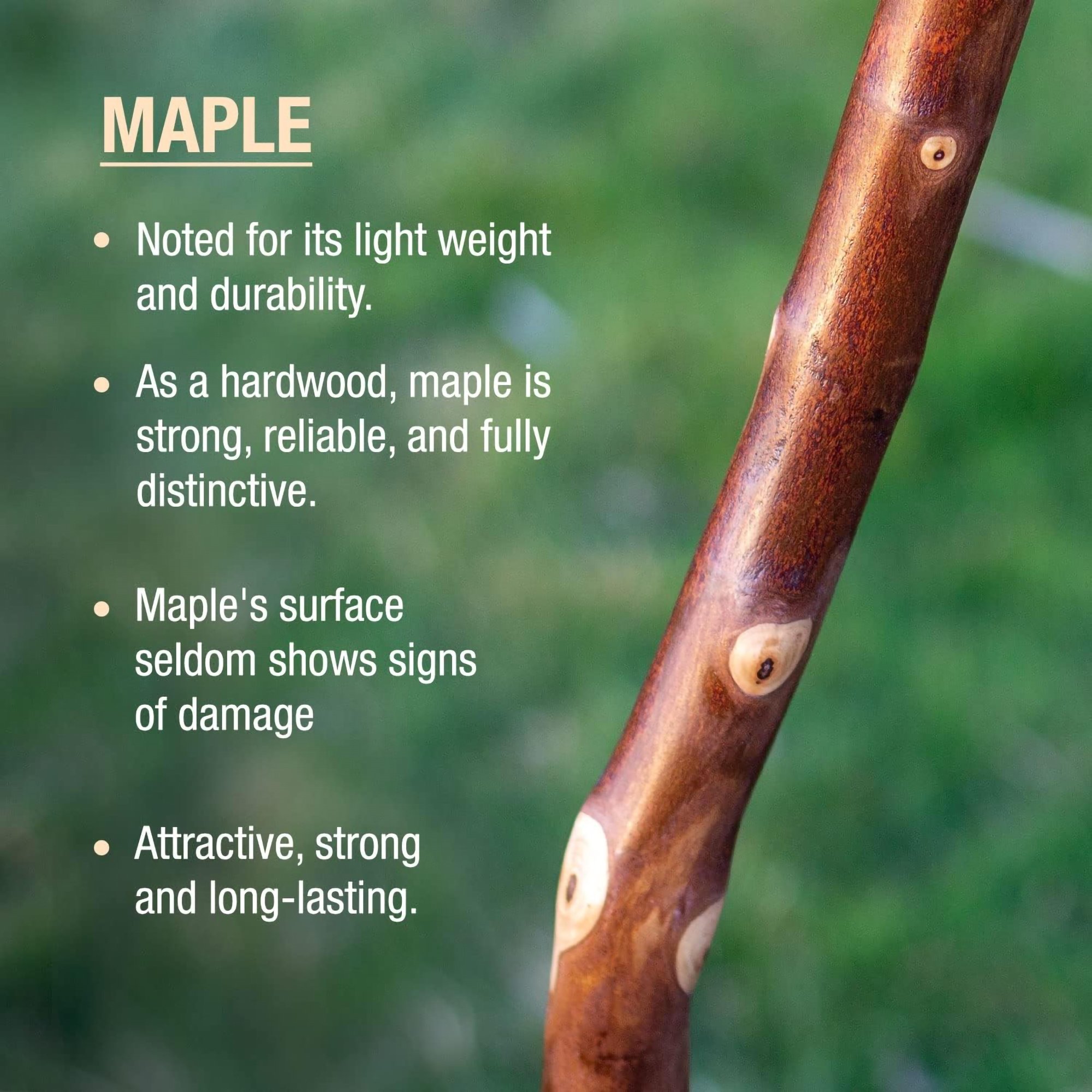 Mabis Healthcare 602-3000-1180 - Brazos™ Maple Rustic Walking Stick, 55-Inch Height - 1/Each