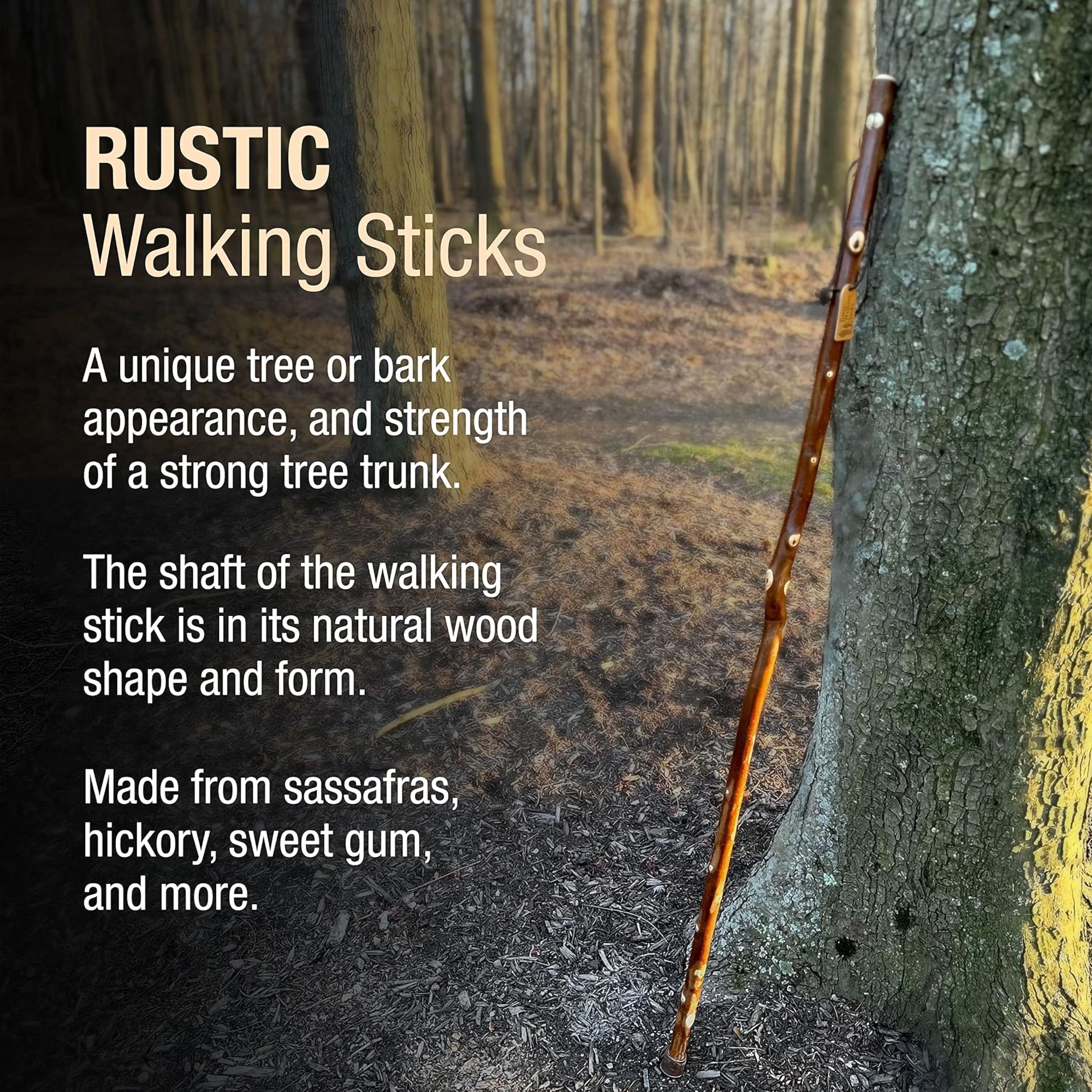 Mabis Healthcare 602-3000-1180 - Brazos™ Maple Rustic Walking Stick, 55-Inch Height - 1/Each