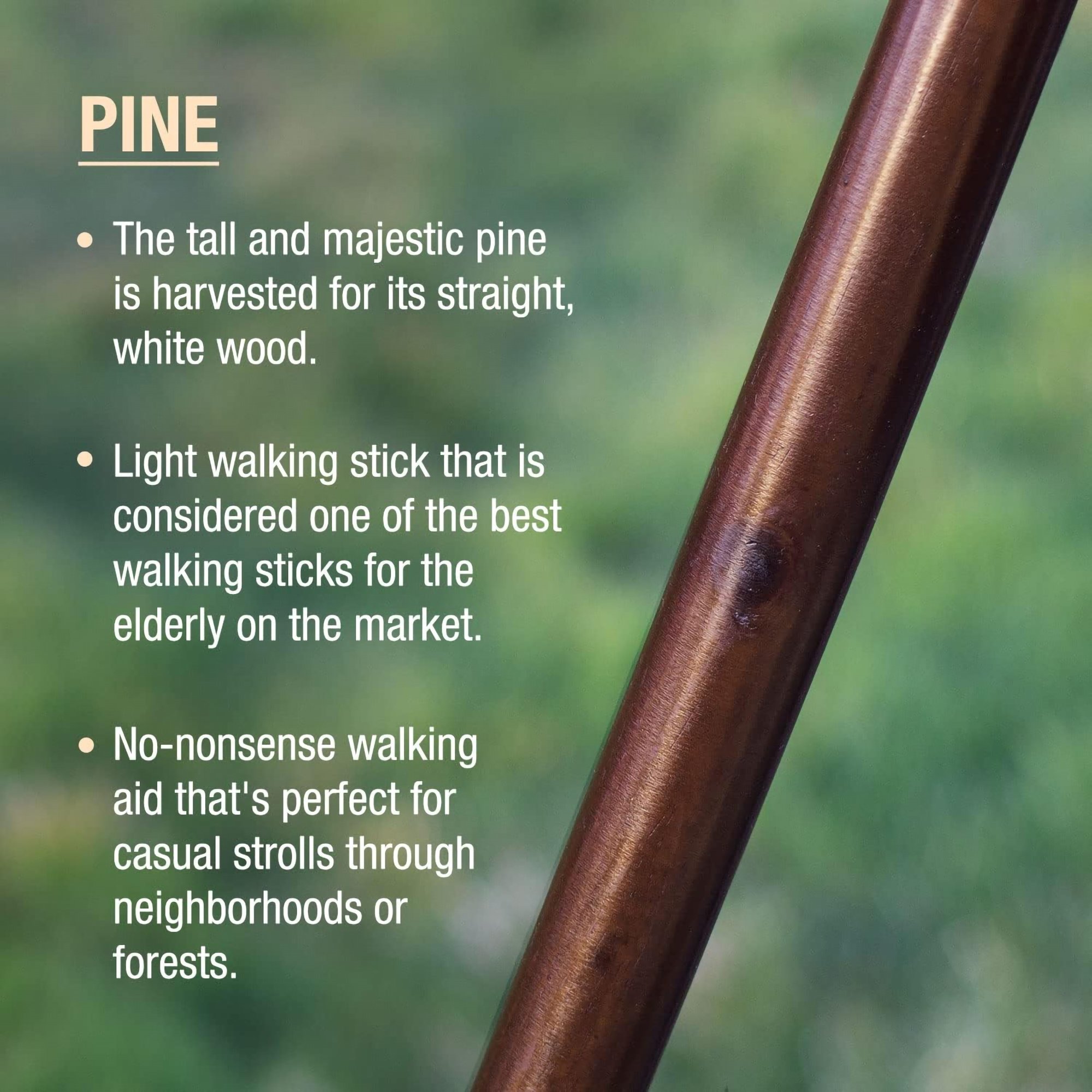 Mabis Healthcare 602-3000-1239 - Brazos™ Traditional Straight Pine Handcrafted Walking Stick, 55-Inch, Brown - 1/Each