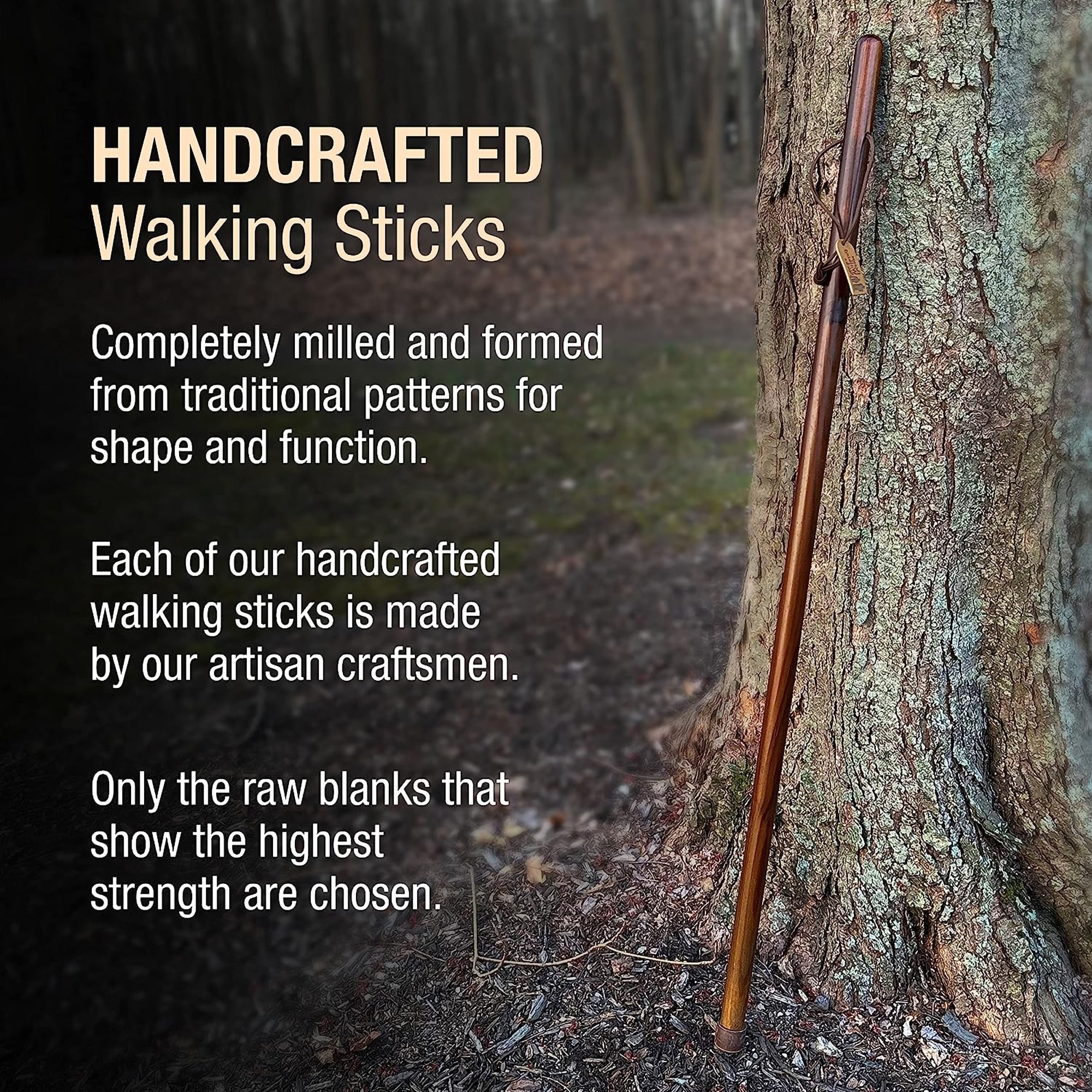 Mabis Healthcare 602-3000-1239 - Brazos™ Traditional Straight Pine Handcrafted Walking Stick, 55-Inch, Brown - 1/Each