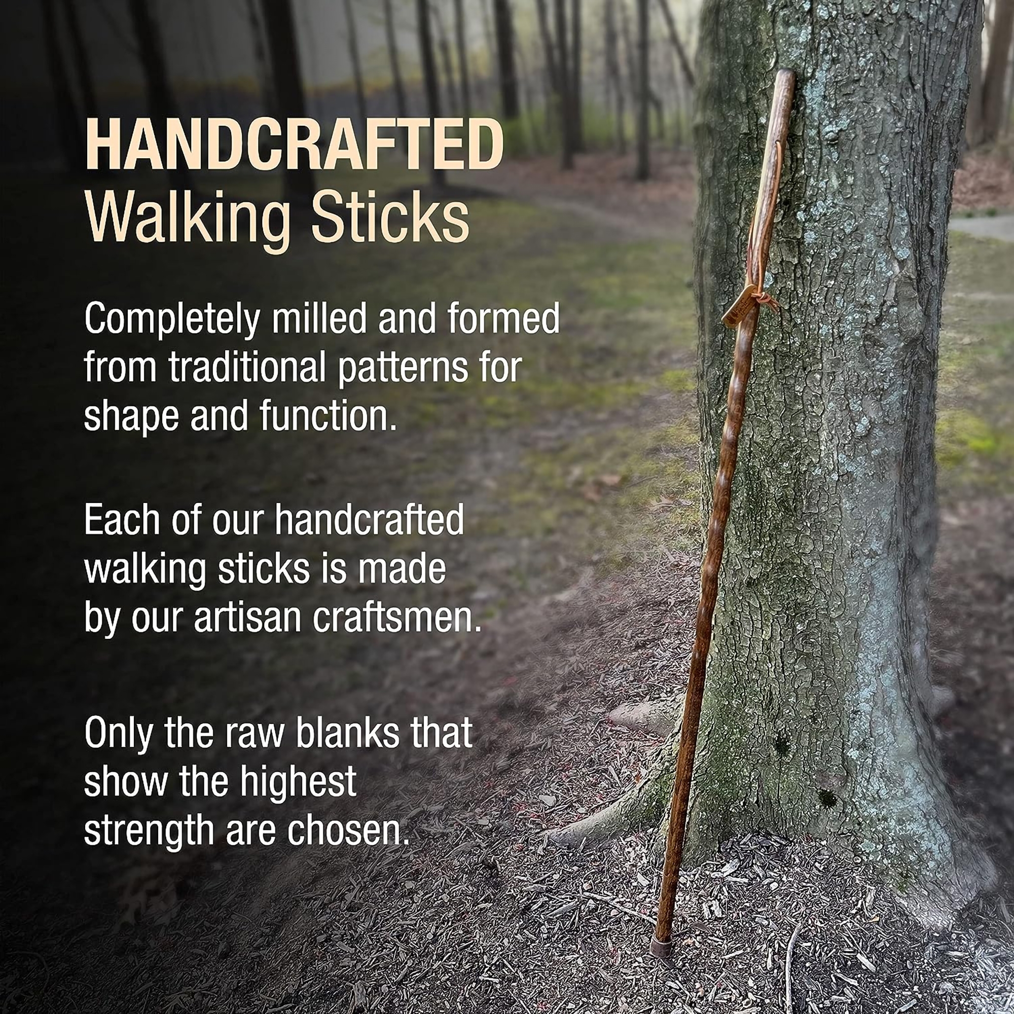 Mabis Healthcare 602-3000-1368 - Brazos™ Twisted Oak Trekker Handcrafted Walking Stick, Red, 55-Inch - 1/Each