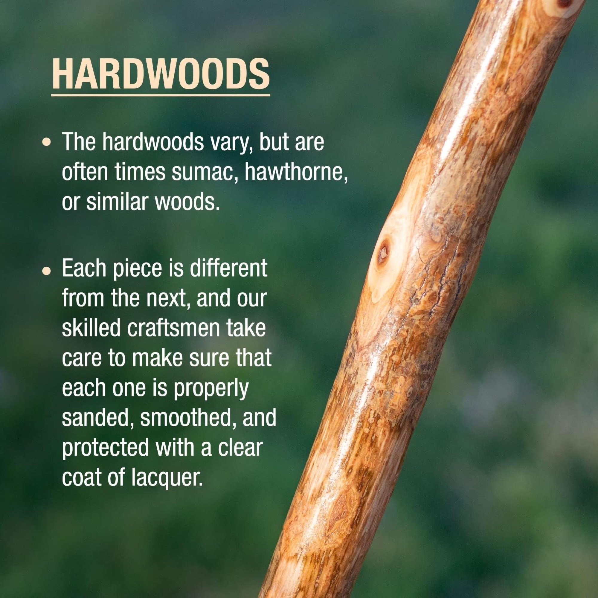 Mabis Healthcare 602-3000-1387 - Brazos™ Assorted Hardwood Rustic Walking Stick, 41-Inch - 1/Each