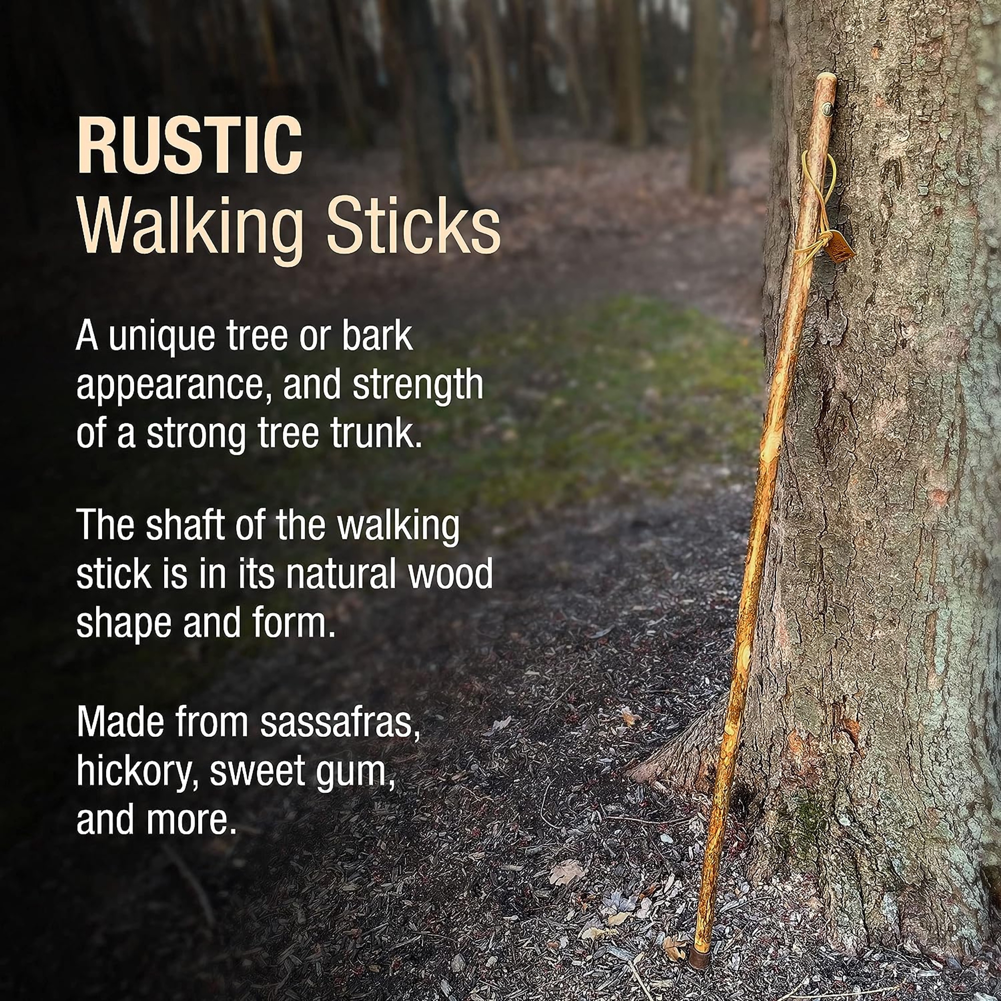 Mabis Healthcare 602-3000-1387 - Brazos™ Assorted Hardwood Rustic Walking Stick, 41-Inch - 1/Each