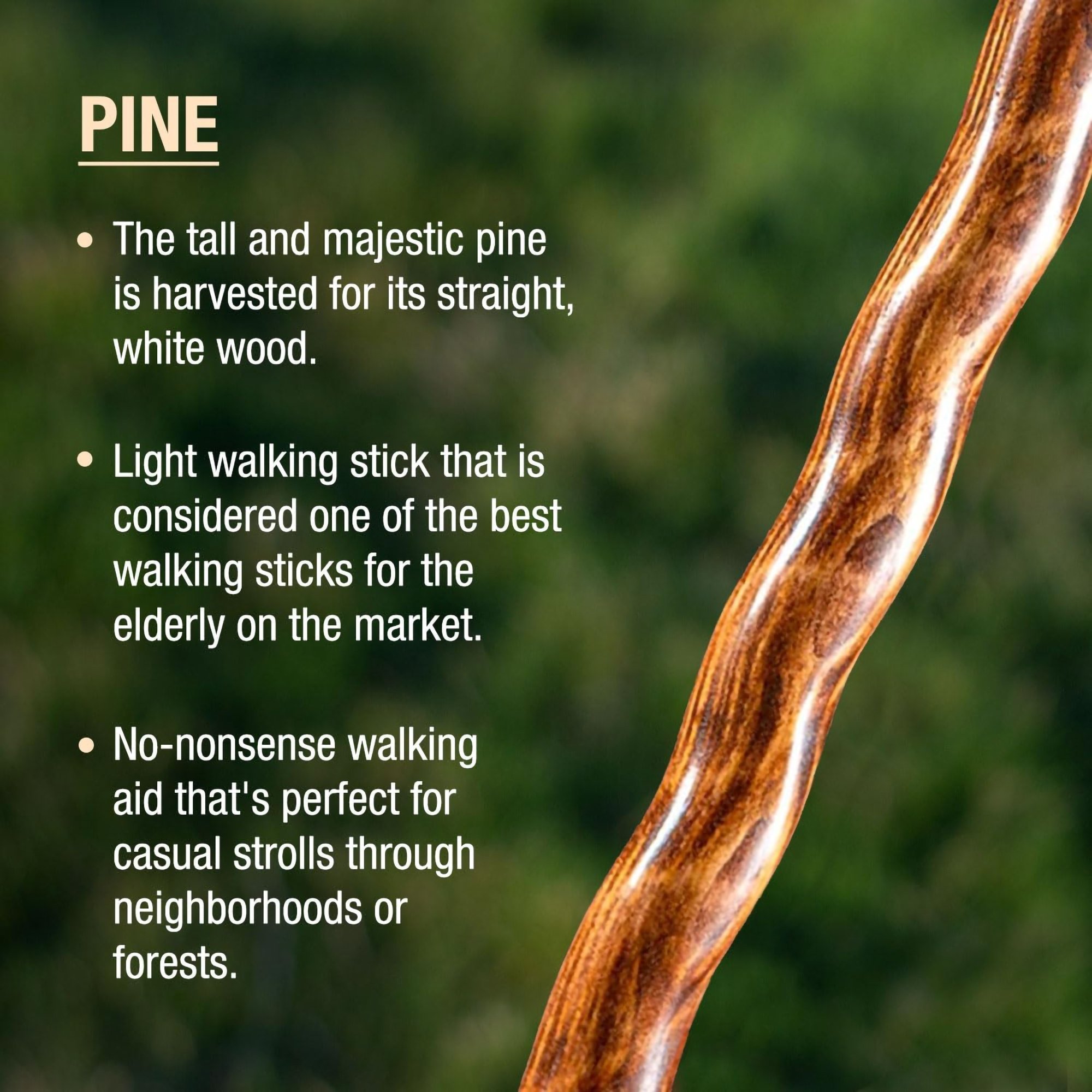 Mabis Healthcare 602-3000-1438 - Brazos™ Twisted Pine Handcrafted Walking Stick, 55-Inch - 1/Each