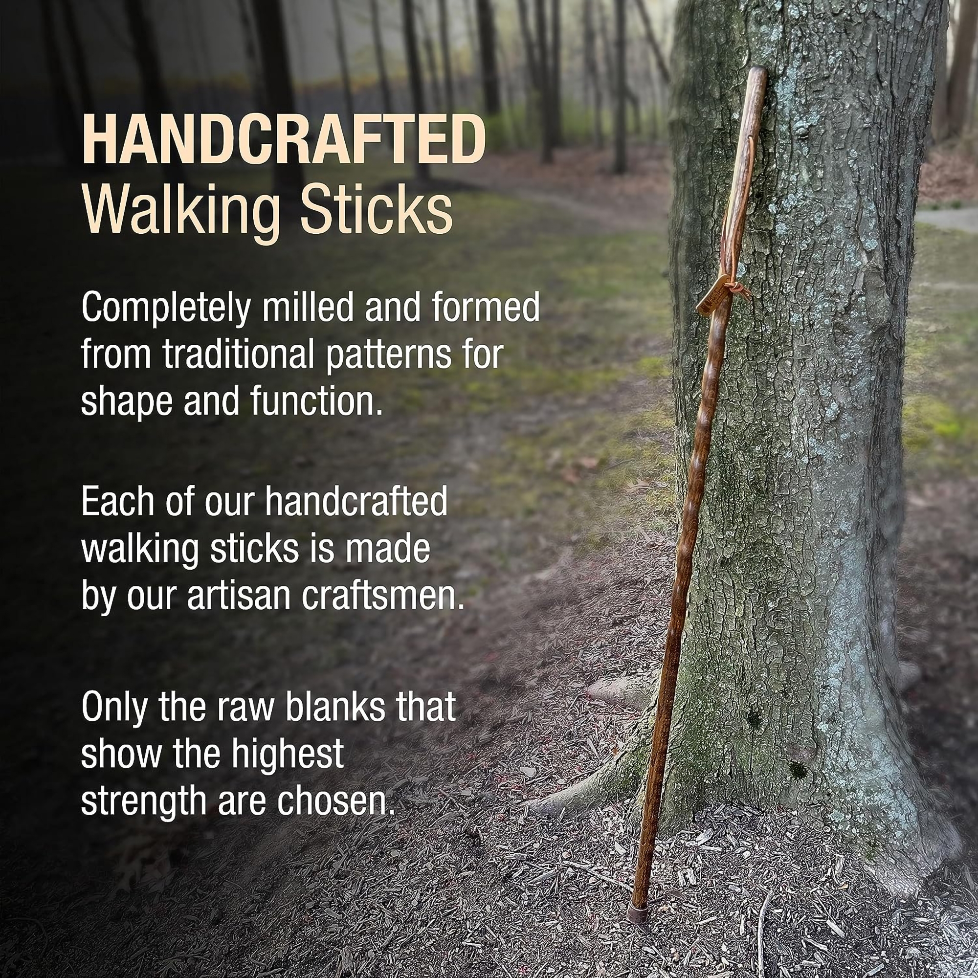 Mabis Healthcare 602-3000-1438 - Brazos™ Twisted Pine Handcrafted Walking Stick, 55-Inch - 1/Each