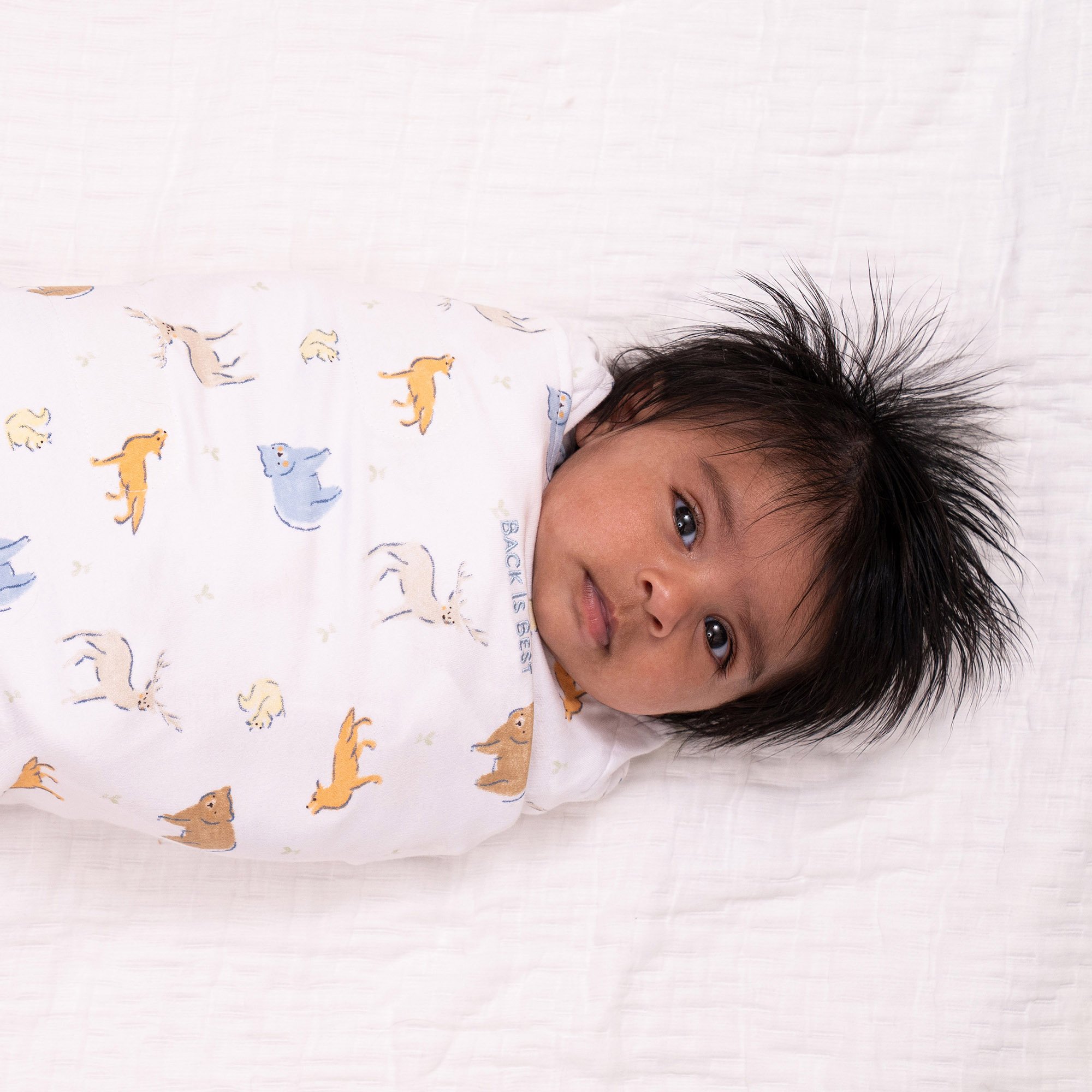 Halo Dream Inc 4964 - Halo® SleepSack® Swaddle for 3 – 6 Month Old Babies, Forest Friends Print - 1/Each, 4/Case
