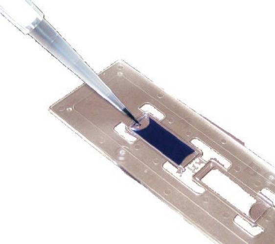 Fisher Anatomical - 22600113 C-Chip™ Hemacytometer 2/3 X 1 X 3 Inch, Disposable, Two Closed 100 µm High Chambers, Neubauer Improved Grid, 10 µL For Cell Counting