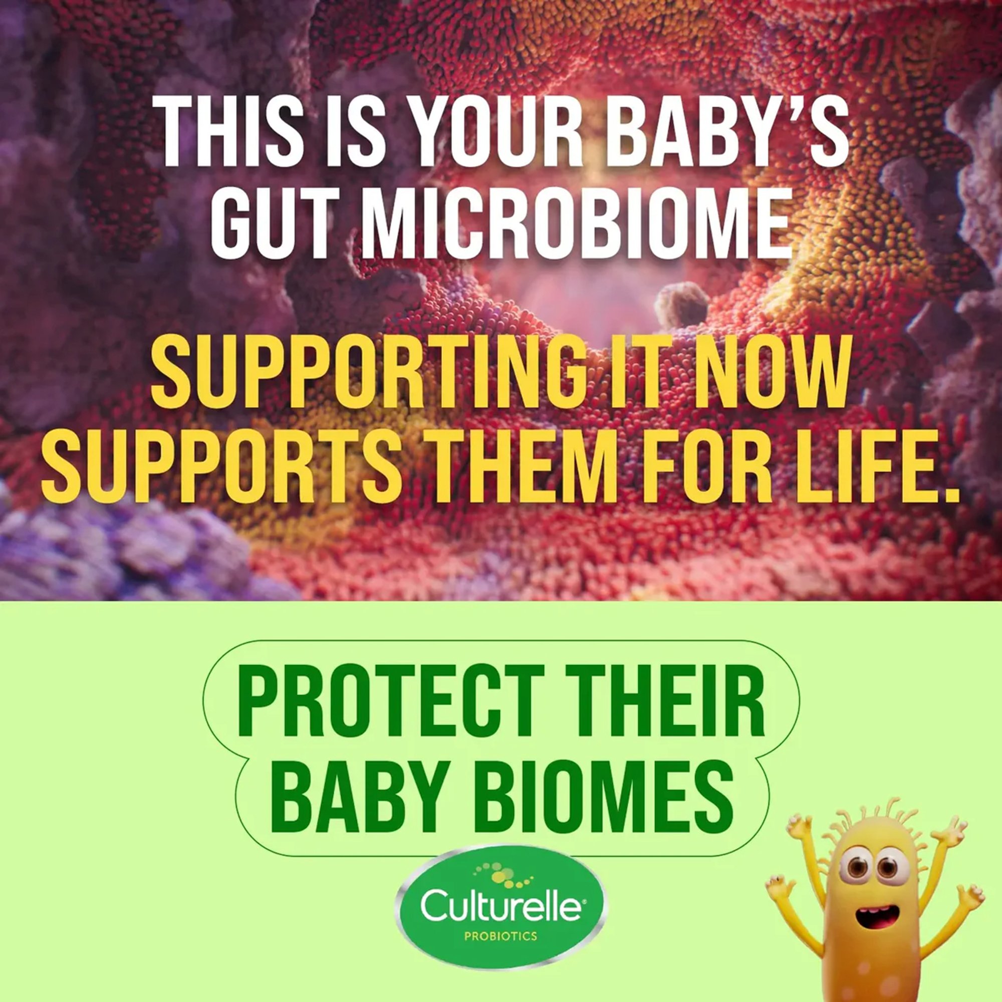i-Health Inc 049100400525 - Culturelle® Baby Digestive Calm + Comfort Probiotic Drops, 0.29-ounce Bottle - 1/Box, 12/Case