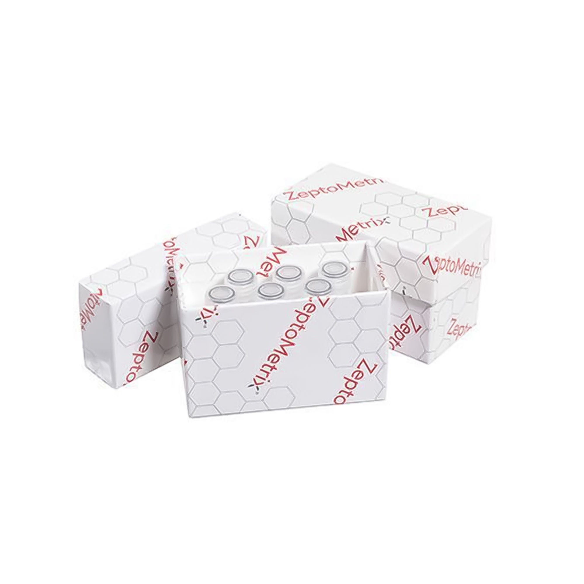 Zeptometrix Corp-Antylia Scientific - NATSDG-6MC-IVD Molecular Diagnostic Control NATtrol™ Strep A Negative Level 6 X 0.5 mL