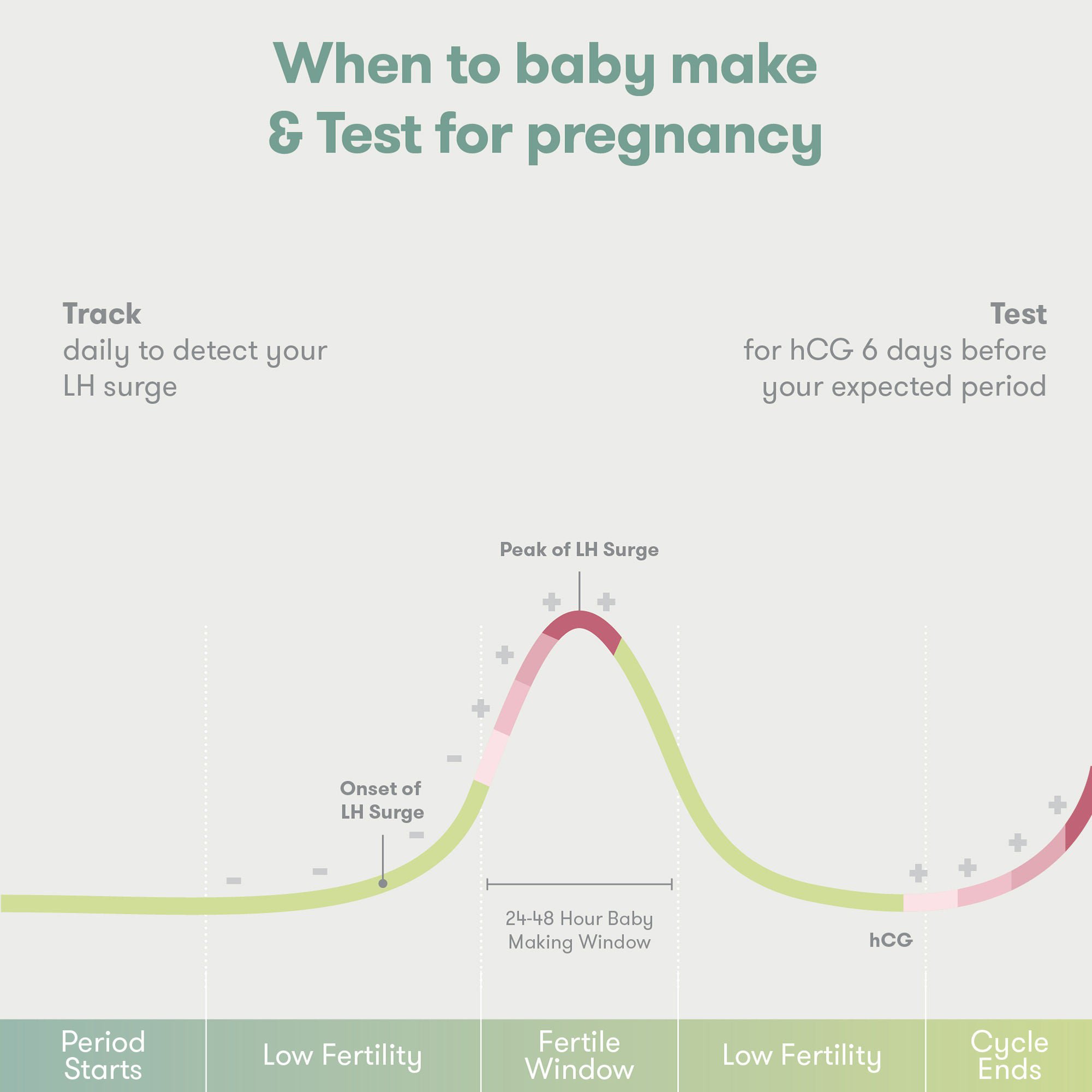 Fridababy LLC - 500001406 Reproductive Health Test Kit Frida Fertility All-in-One Ovulation and Pregnancy Test