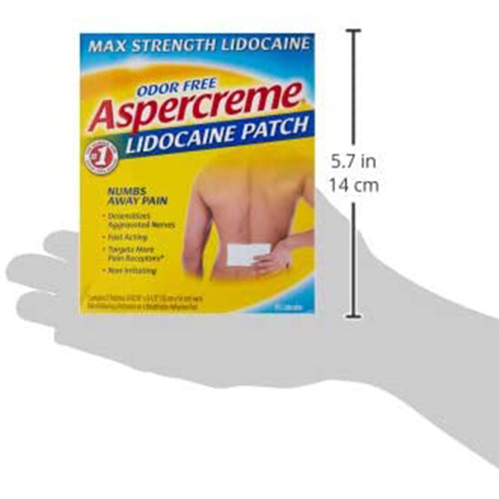 Aspercreme Topical Pain Relief 04116705840 by Aventis Pharmaceuticals
