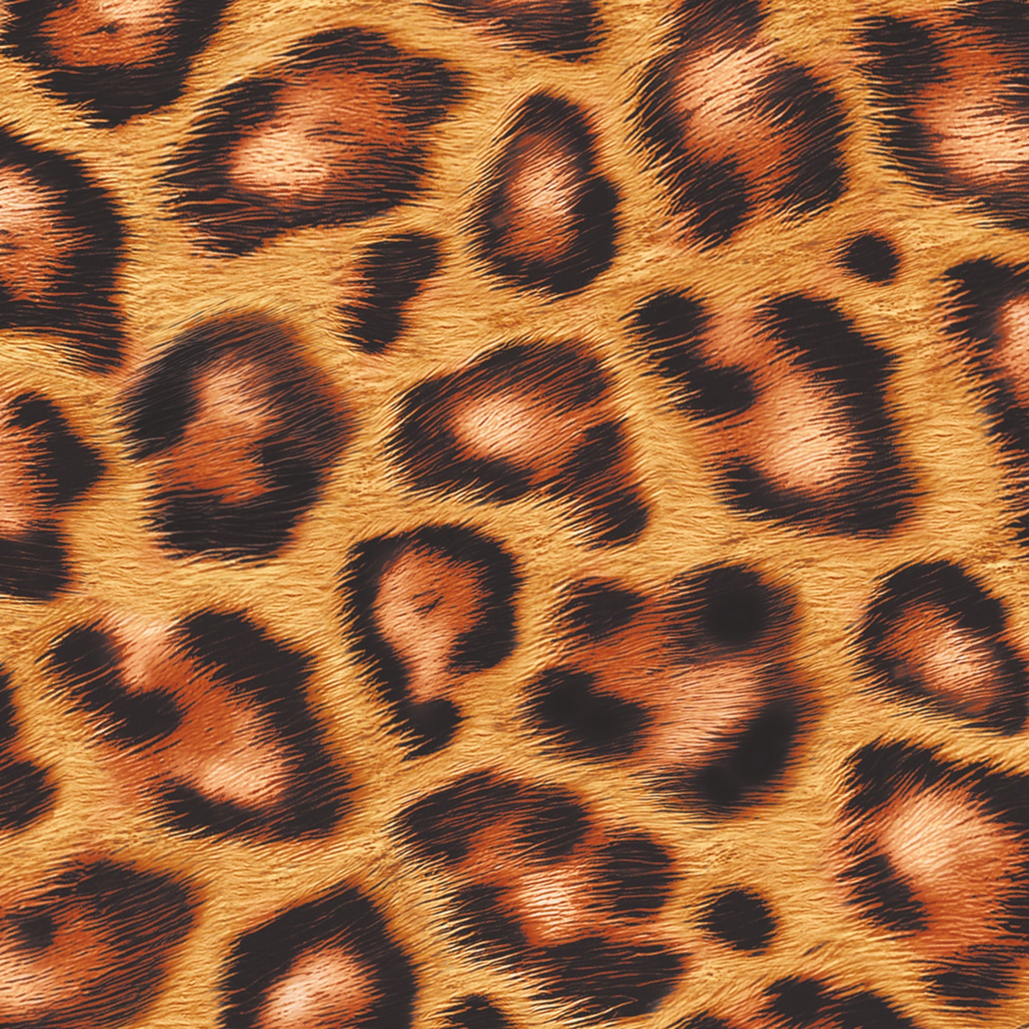BSN Medical - 7227366 Cast Tape Delta-Cast® 3 Inch X 12 Foot Polyester Leopard Print